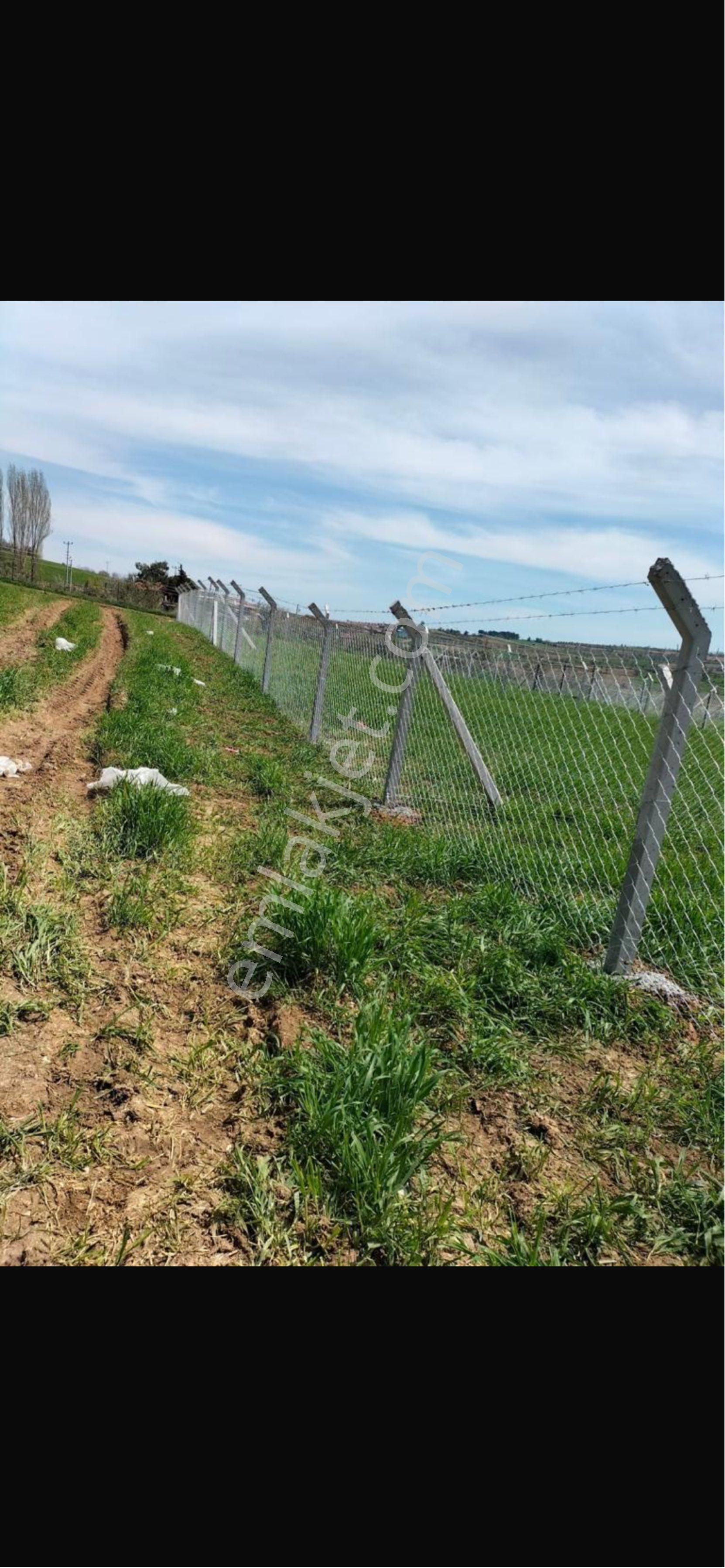 Kula Bayramşah Satılık Tarla Manisa Kula Bayramşah’ta Satılık Villa İmarlı Acil Satılık Arsa ❗️