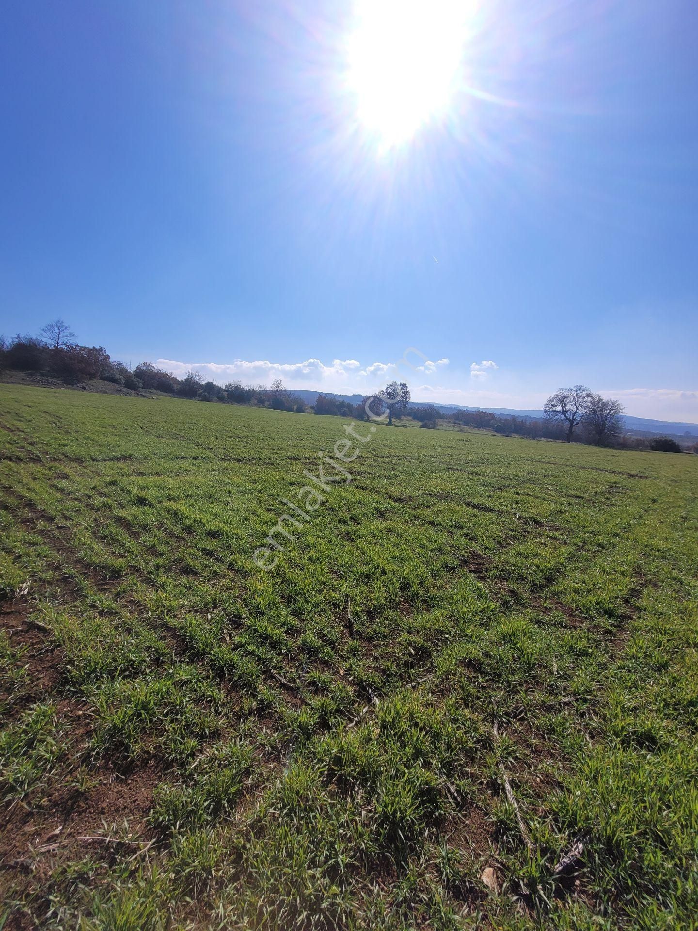 Çiftlik Yapımına Uygun Satılık Tarla - Görsel 9