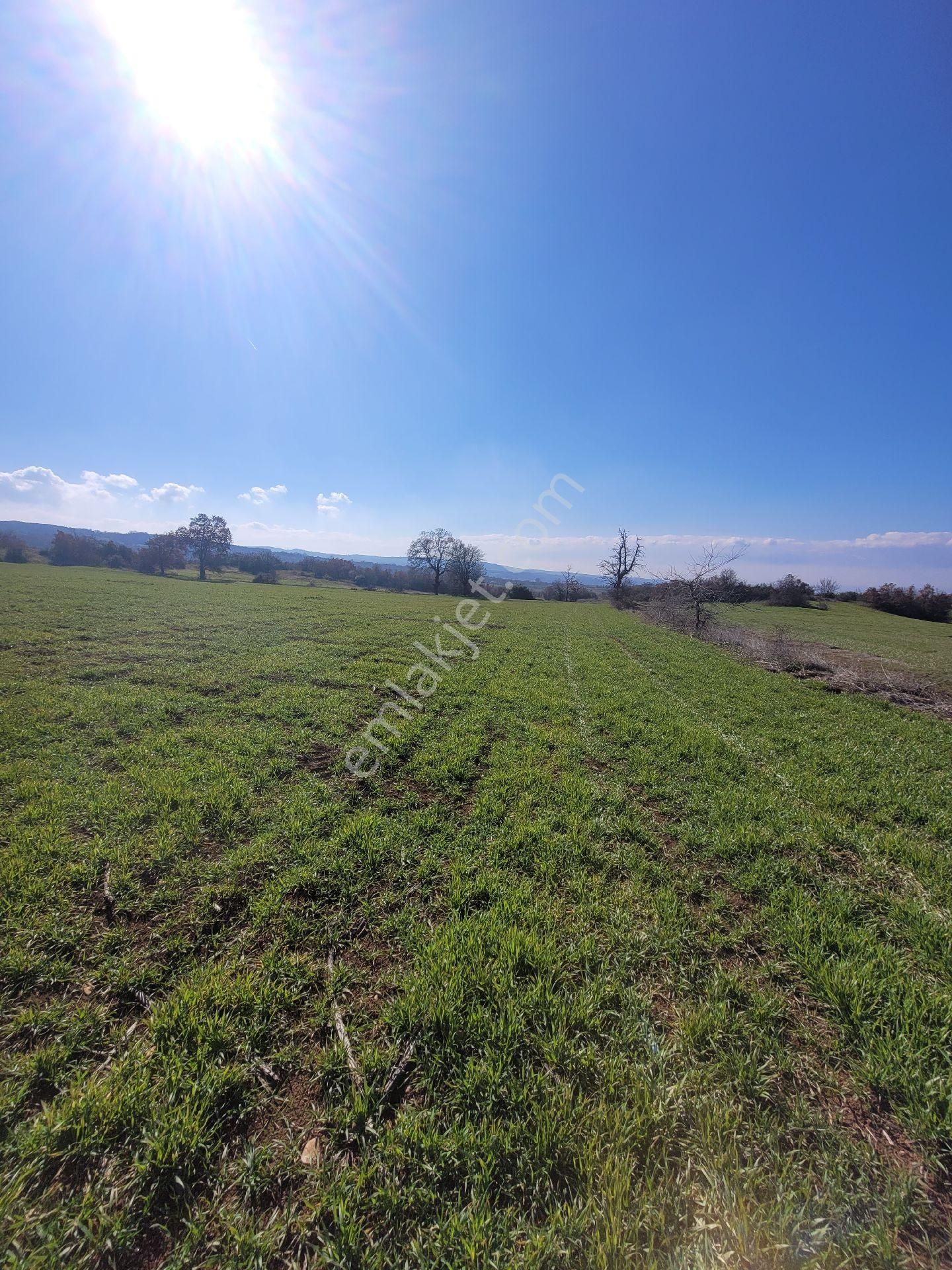 Çiftlik Yapımına Uygun Satılık Tarla - Görsel 4