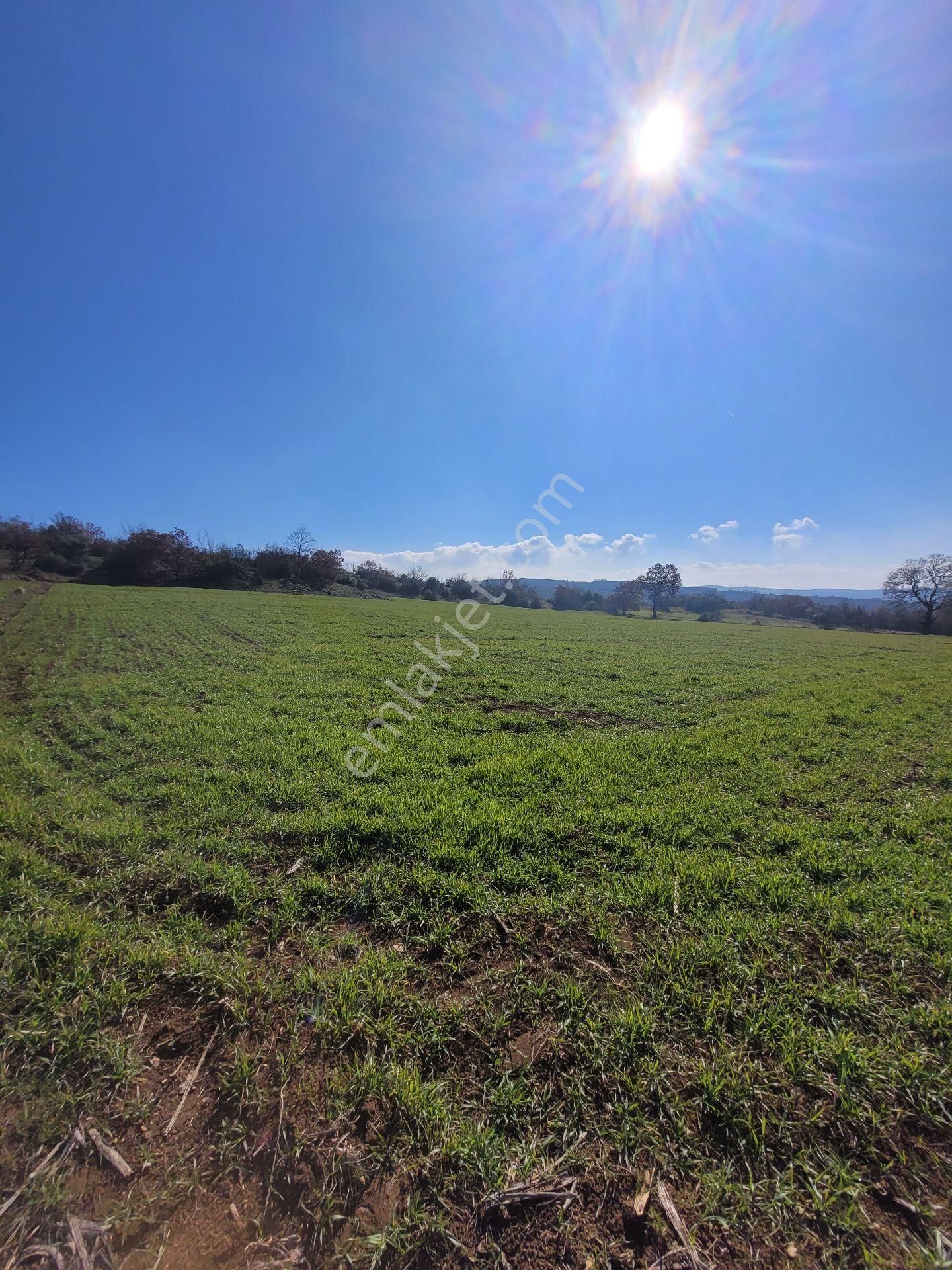 Çiftlik Yapımına Uygun Satılık Tarla - Görsel 6