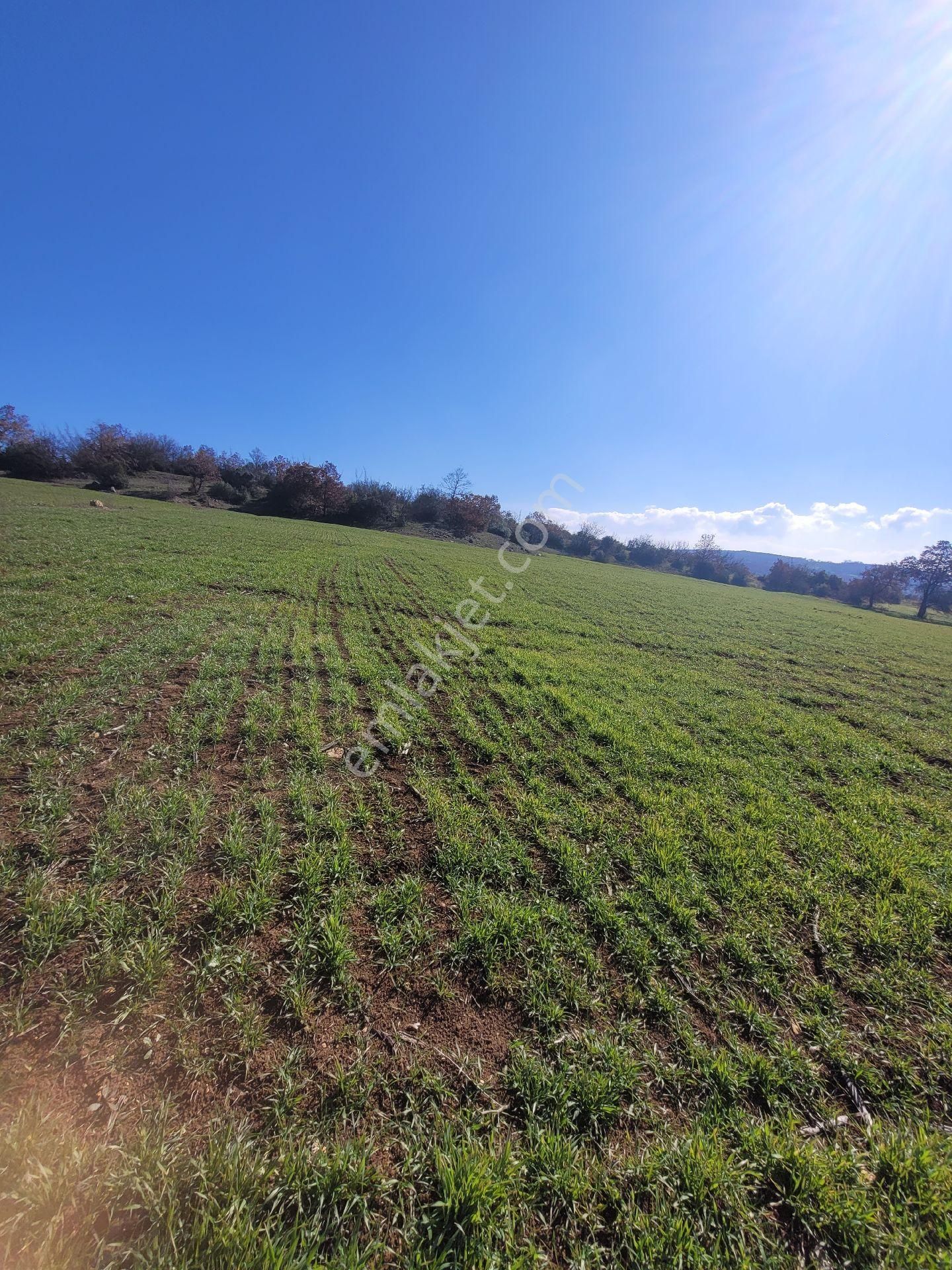 Çiftlik Yapımına Uygun Satılık Tarla - Görsel 5