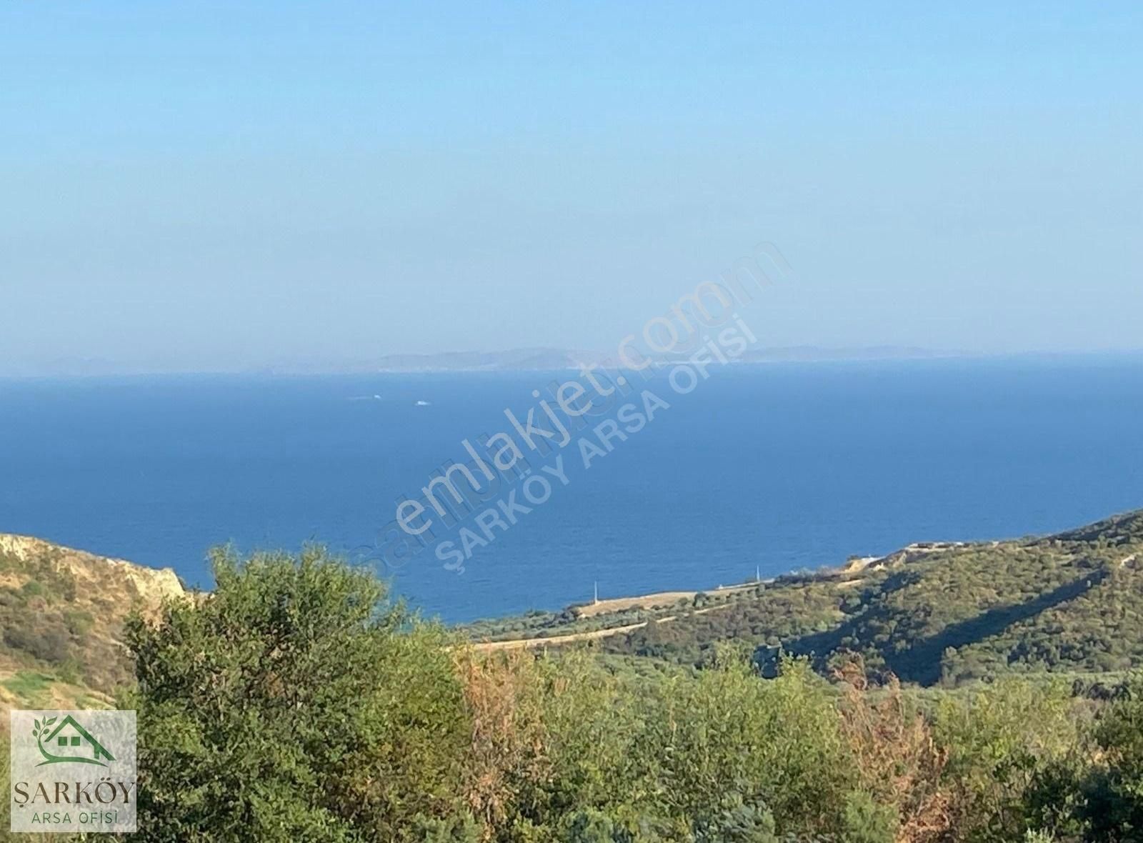 Şarköy Hoşköy Satılık Bağ & Bahçe Deniz Manzaralı Uygun Fiyatlı Bağ Nitelikli Arazi