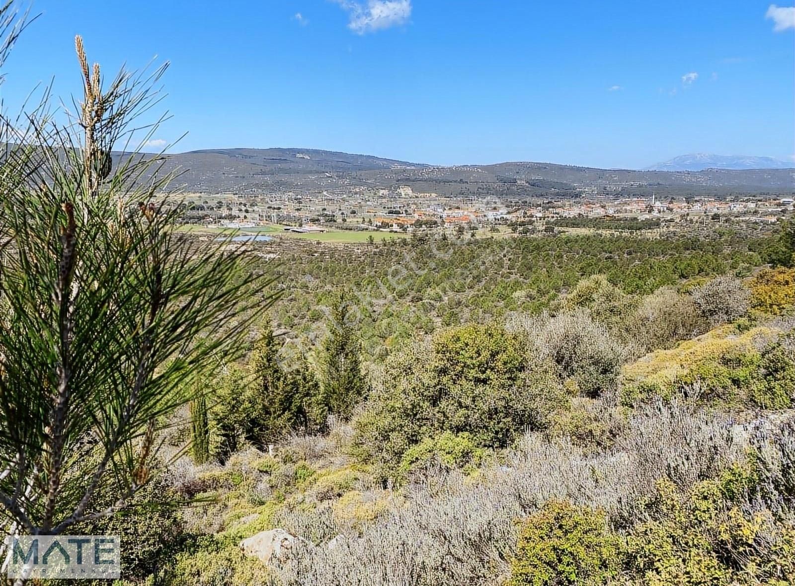 Urla Barbaros Köyünde 398 M2 Arsa İçinde Satılık Taş Villa - Görsel 8