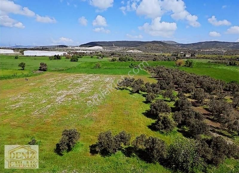 Helvacıda Dogayla İç İçe 421m2 Satılık Tarla Hobiye Uygun - Görsel 27