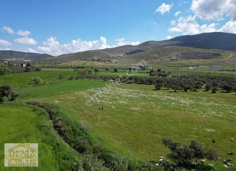 Helvacıda Dogayla İç İçe 421m2 Satılık Tarla Hobiye Uygun - Görsel 11