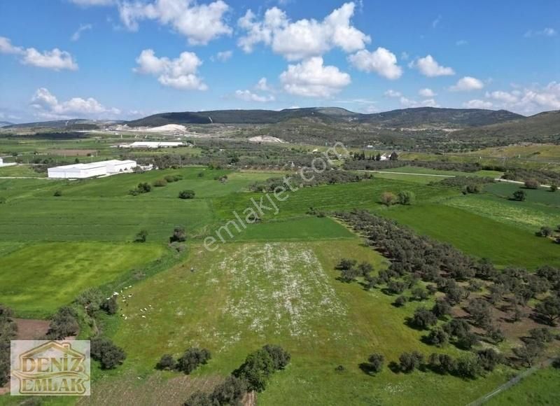 Helvacıda Dogayla İç İçe 421m2 Satılık Tarla Hobiye Uygun - Görsel 7