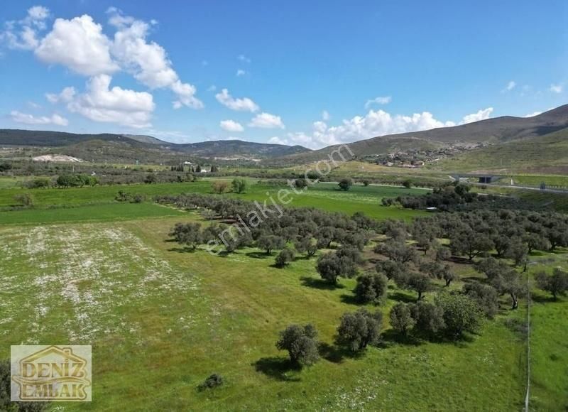 Helvacıda Dogayla İç İçe 421m2 Satılık Tarla Hobiye Uygun - Görsel 16