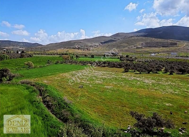 Helvacı Barbarosta 317m2 Tarlamız Satılık - Görsel 15