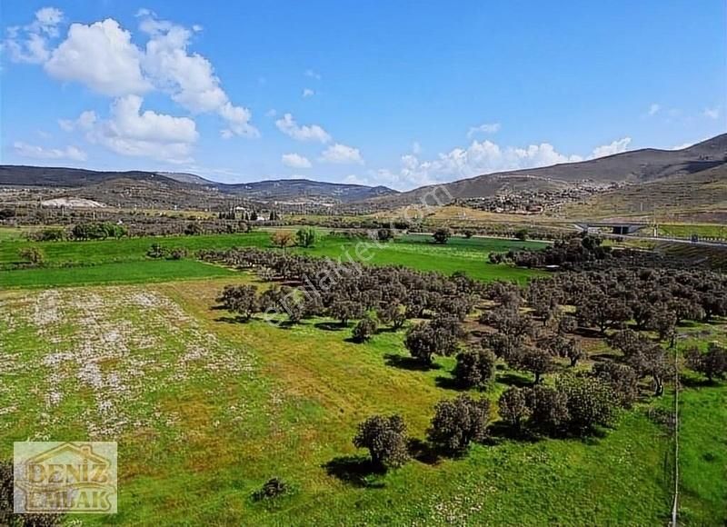 Helvacı Barbarosta 317m2 Tarlamız Satılık - Görsel 12