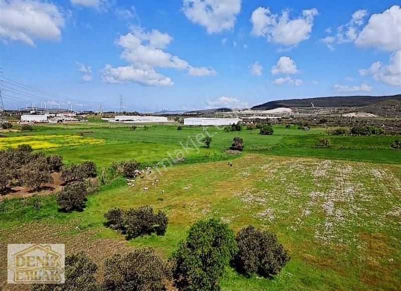 Helvacı Barbarosta 317m2 Tarlamız Satılık - Görsel 17