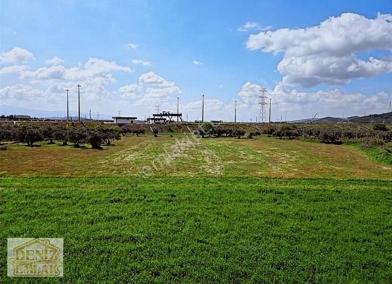 Helvacı Barbarosta 317m2 Tarlamız Satılık - Görsel 23