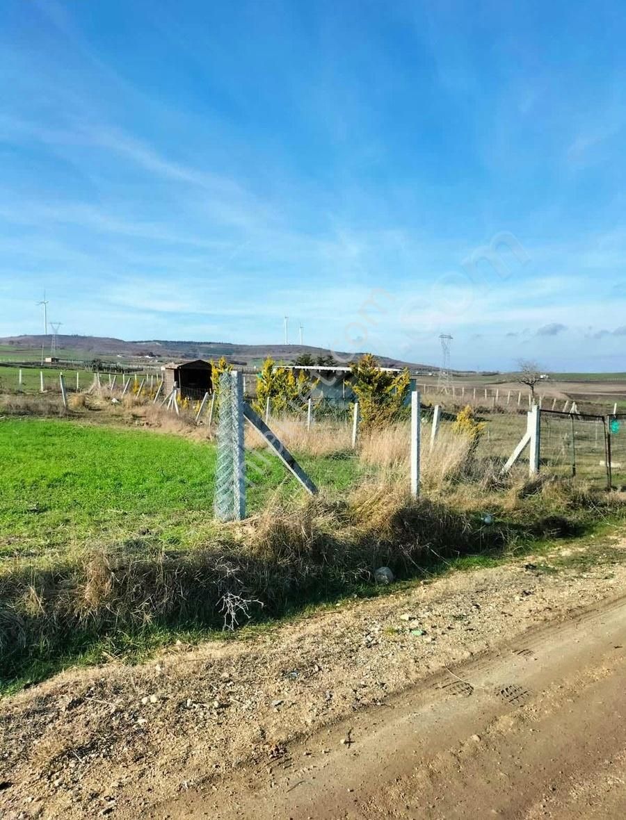 Silivri Çanta Balaban Satılık Tarla Silivri Balaban'da 200m2 Şiir Gibi Parseller