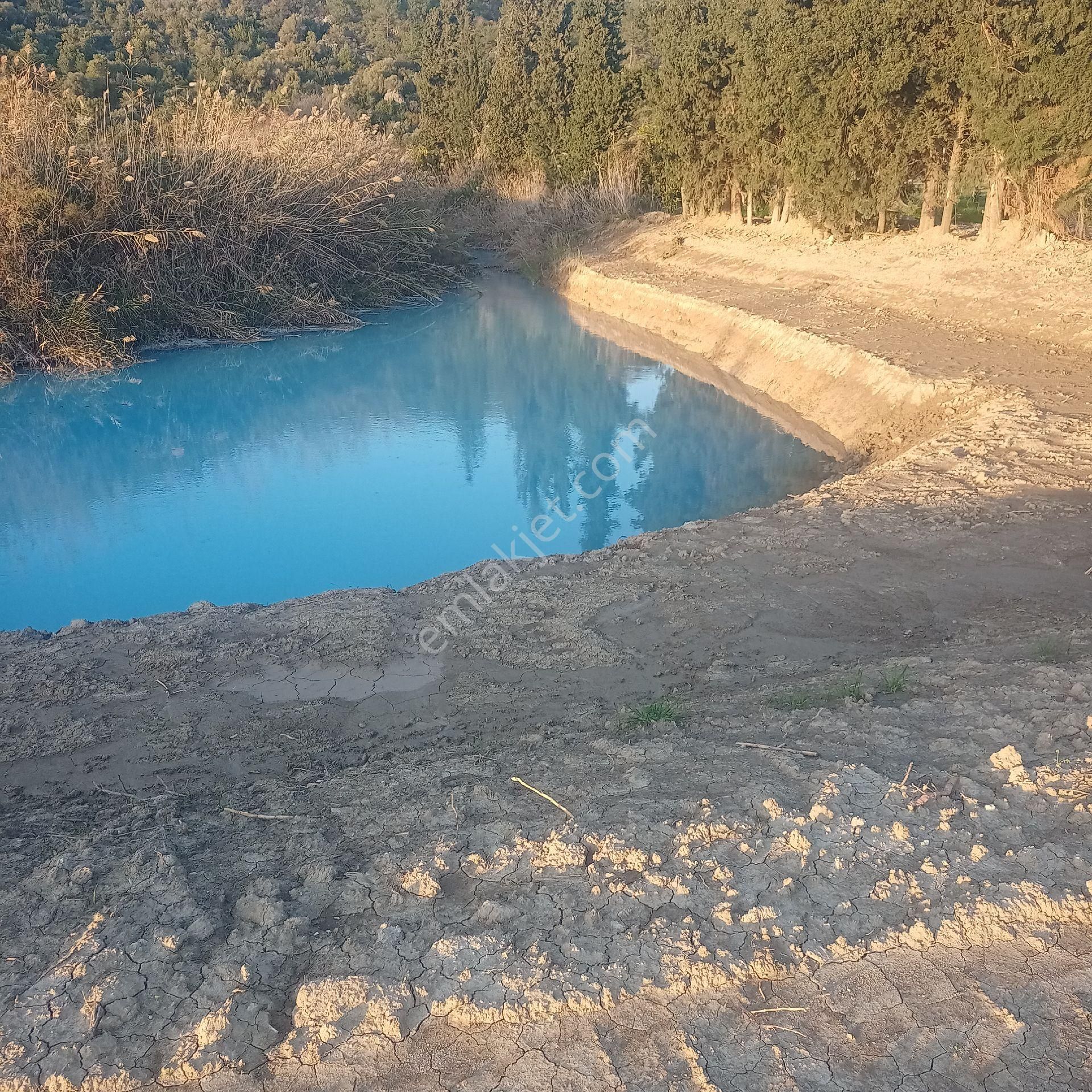 Muğla Ortaca Fevziye Satılık Müstakil Parsel Tarla - Görsel 3