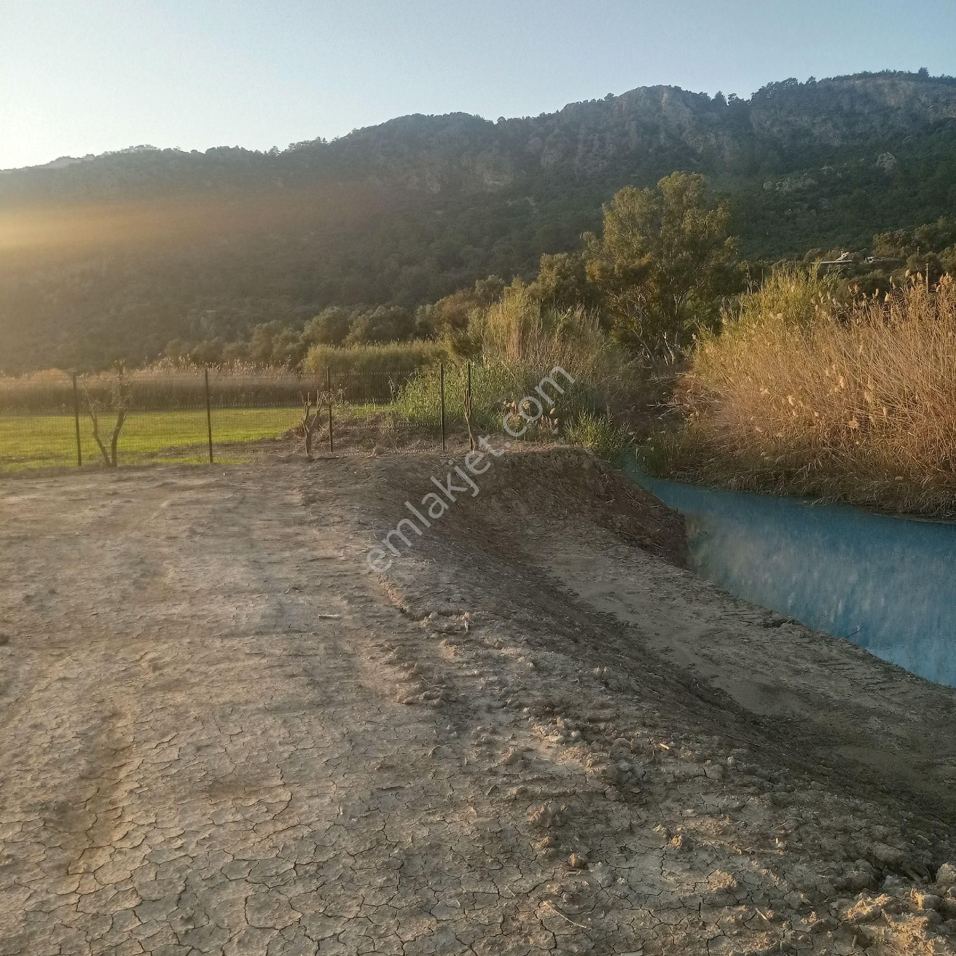 Muğla Ortaca Fevziye Satılık Müstakil Parsel Tarla - Görsel 6
