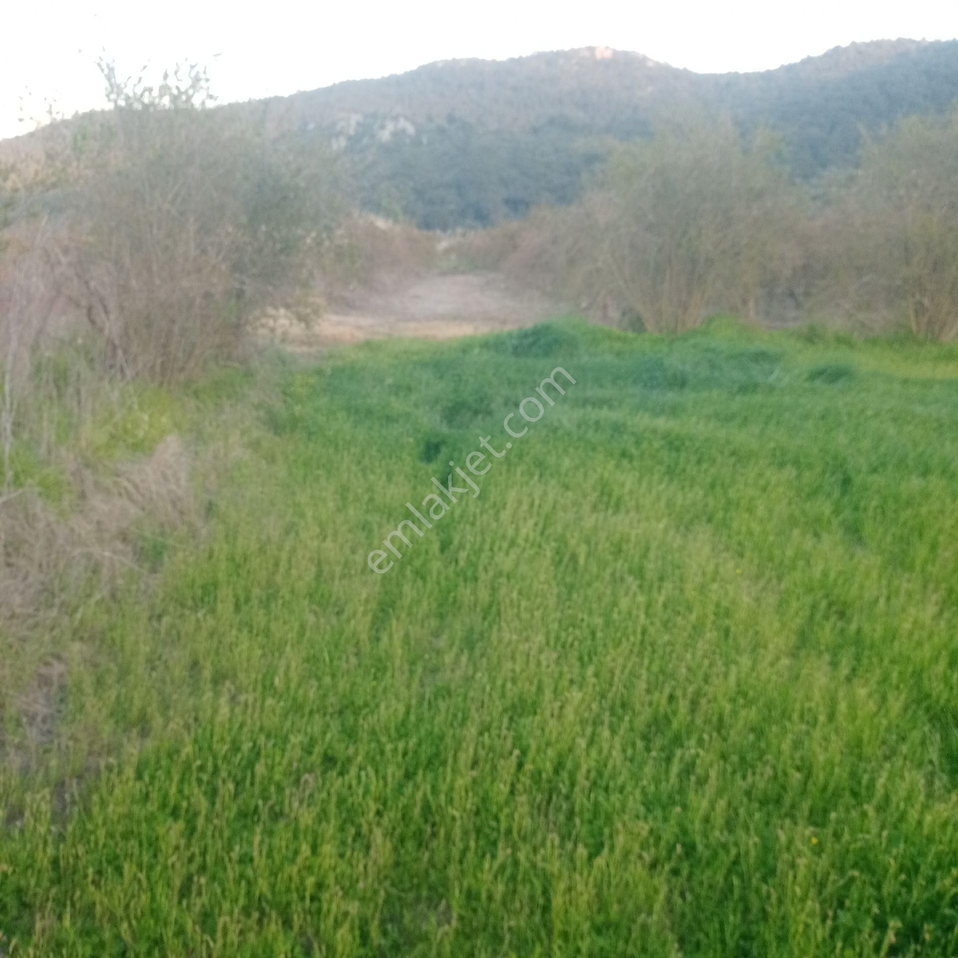 Muğla Ortaca Güzelyurt Akdoğan Satılık Tarla - Görsel 2