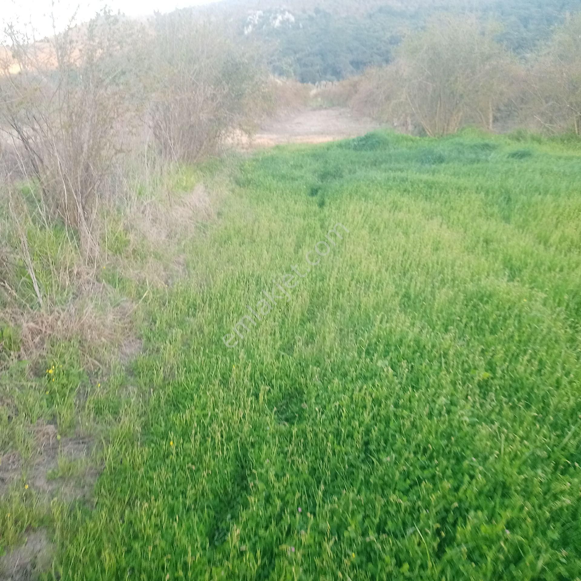 Muğla Ortaca Güzelyurt Akdoğan Satılık Tarla - Görsel 3