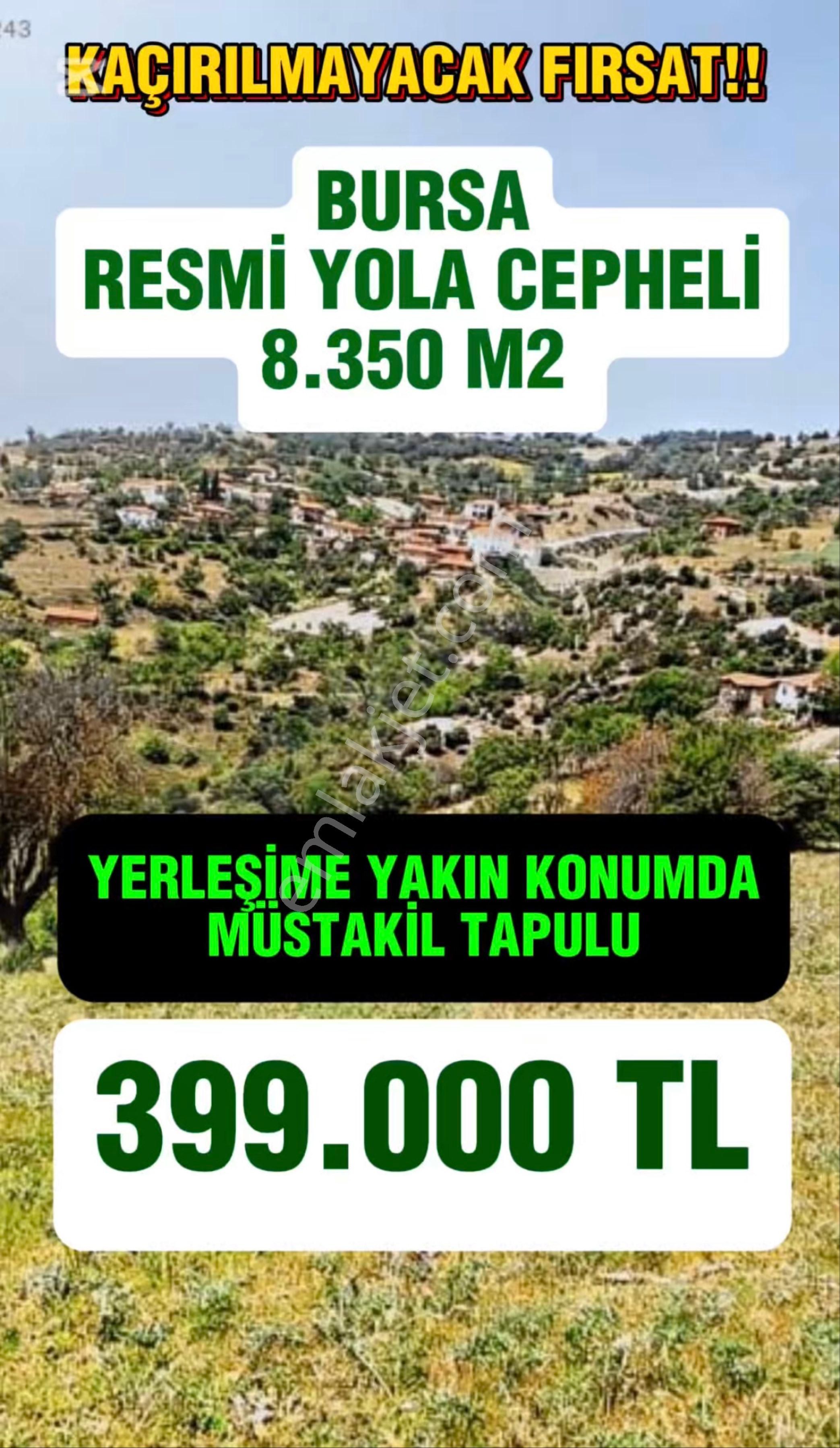 Büyükorhan Bademlik Satılık Tarla 🏡 Bursa Büyükorhan’da Köye Yakın, Resmi Yola Cepheli Kazançlı Fırsat! 🌿