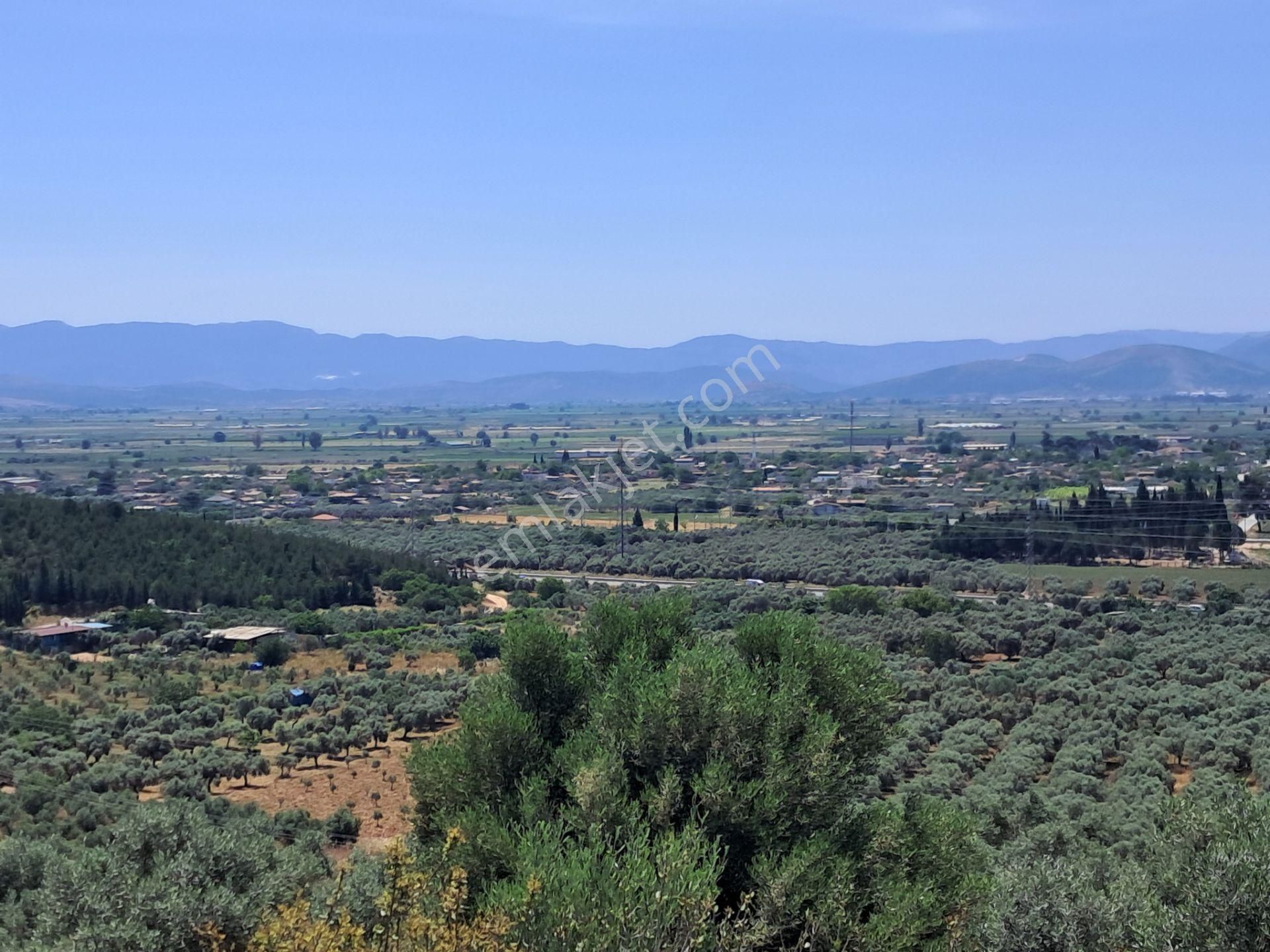 İzmir Torbalı Gold Emlaktan Satılık Harika Bahçe - Görsel 21