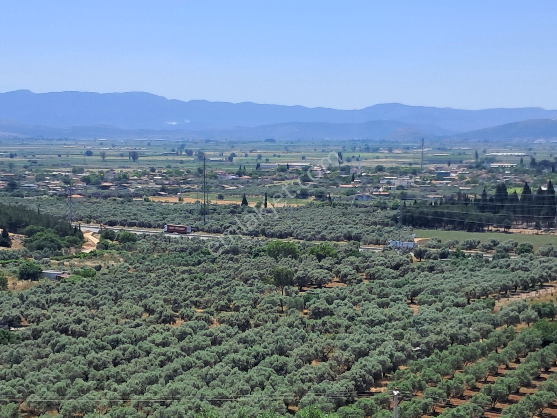 İzmir Torbalı Gold Emlaktan Satılık Harika Bahçe - Görsel 29