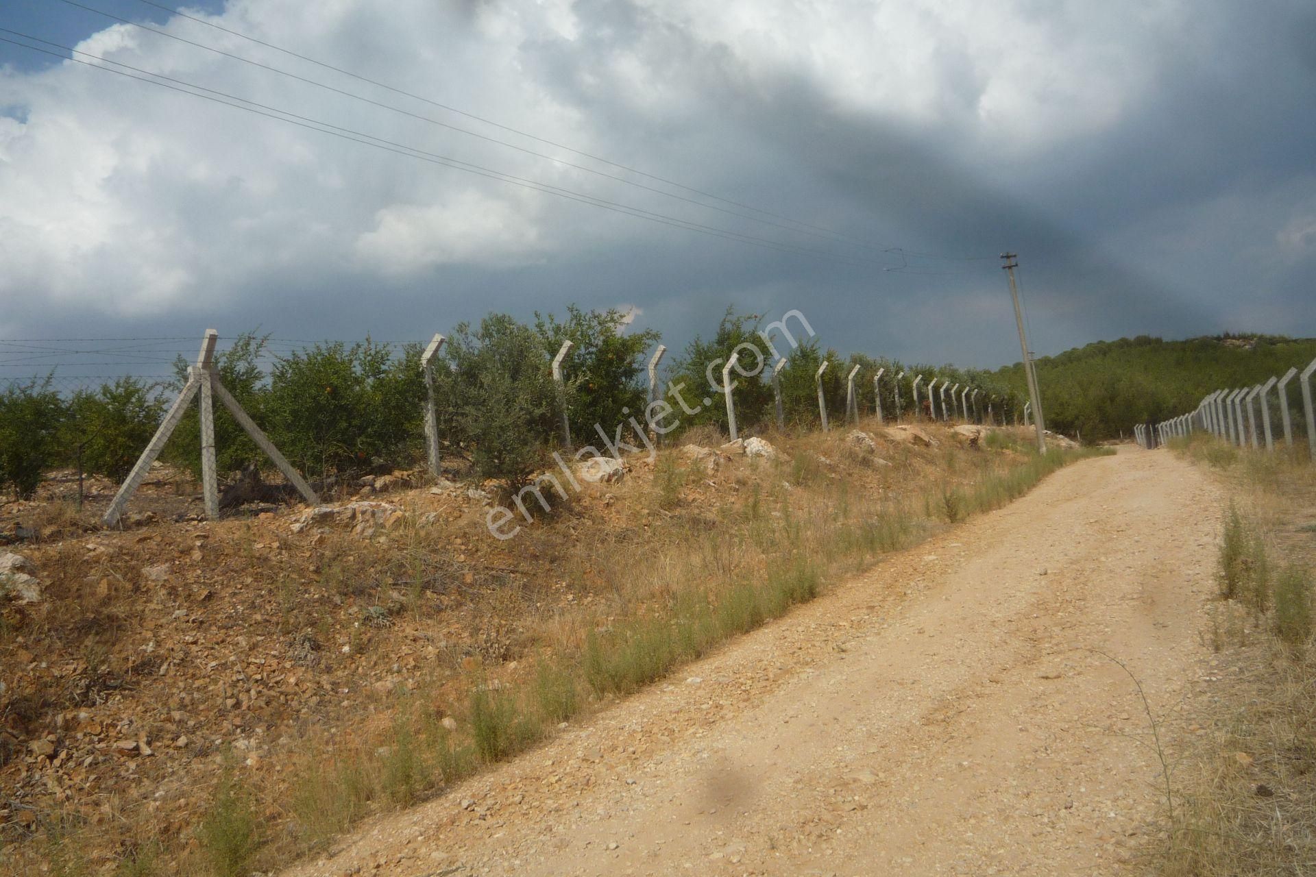 İzmir Torbalı Gold Emlaktan Satılık Harika Bahçe - Görsel 13