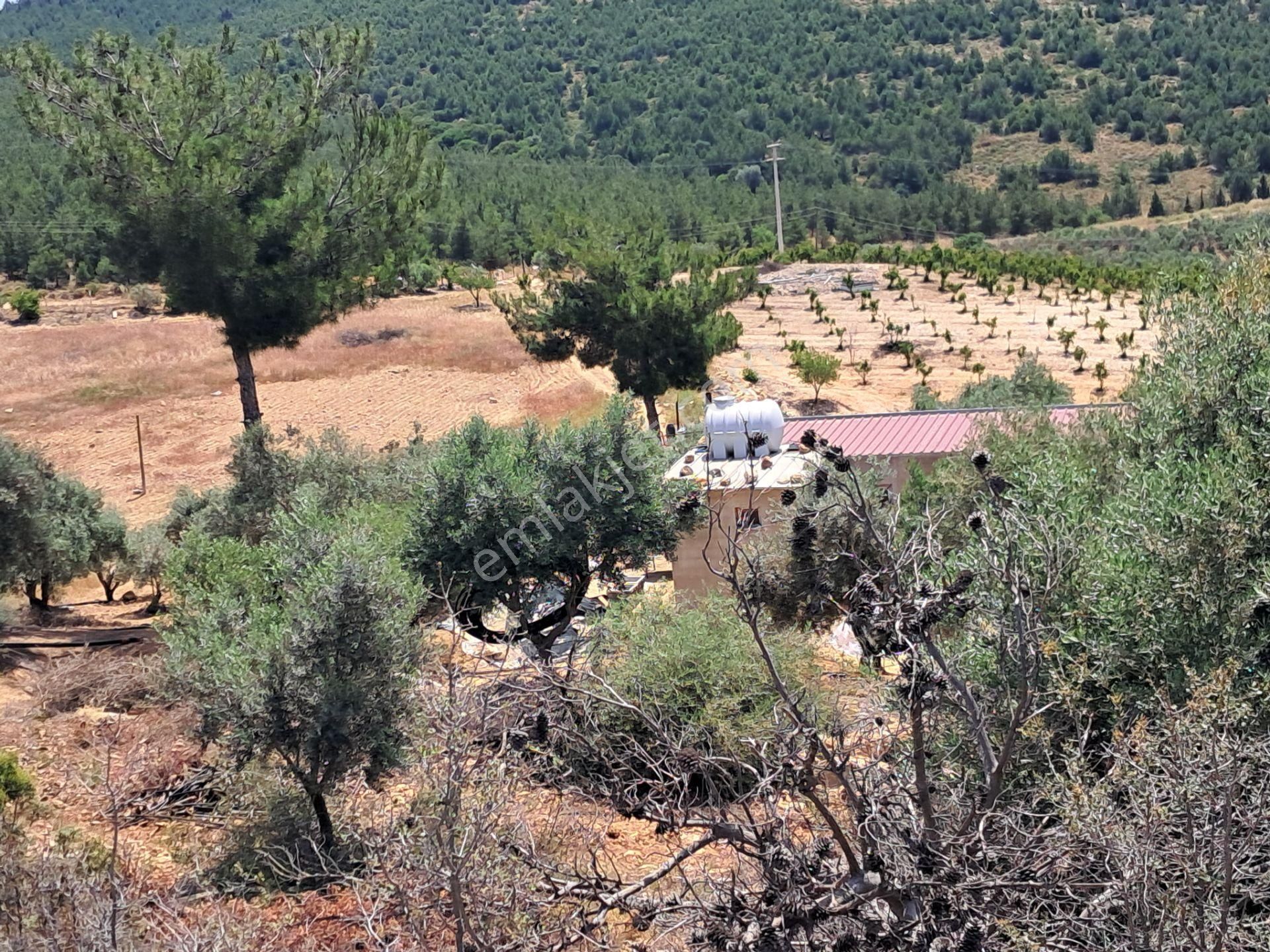 İzmir Torbalı Gold Emlaktan Satılık Harika Bahçe - Görsel 20