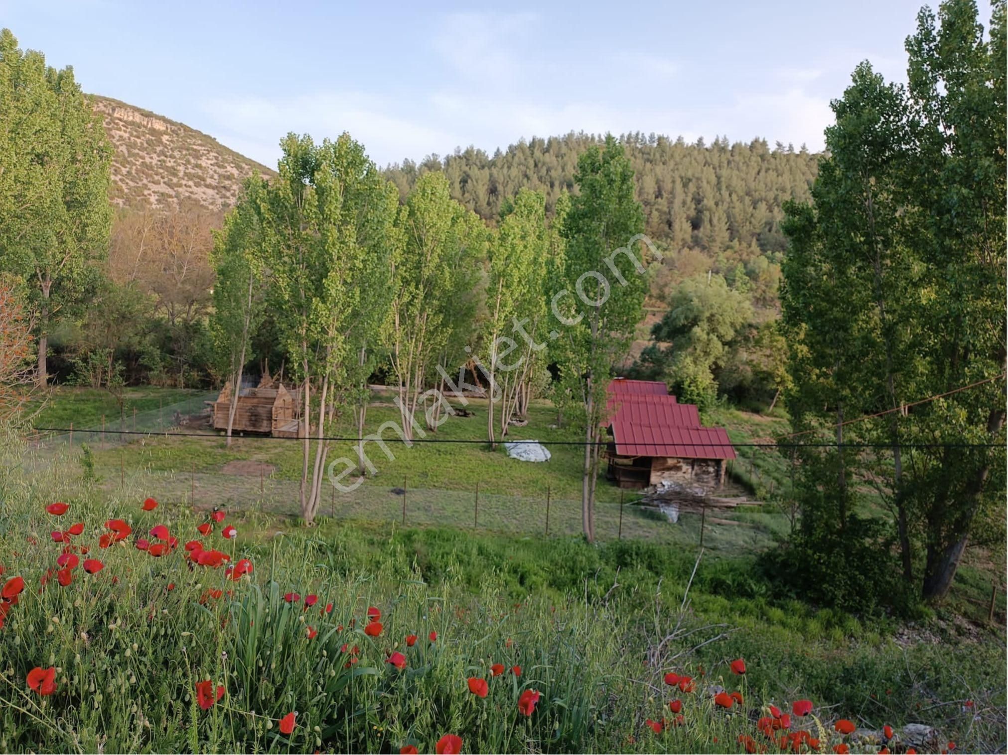 Uşak Ulubey Satılık Turizm İmarlı Uşak Ulubey'de 500.000 Euro Kredi İmkanlı Alkol Ruhsatlı İş Yeri