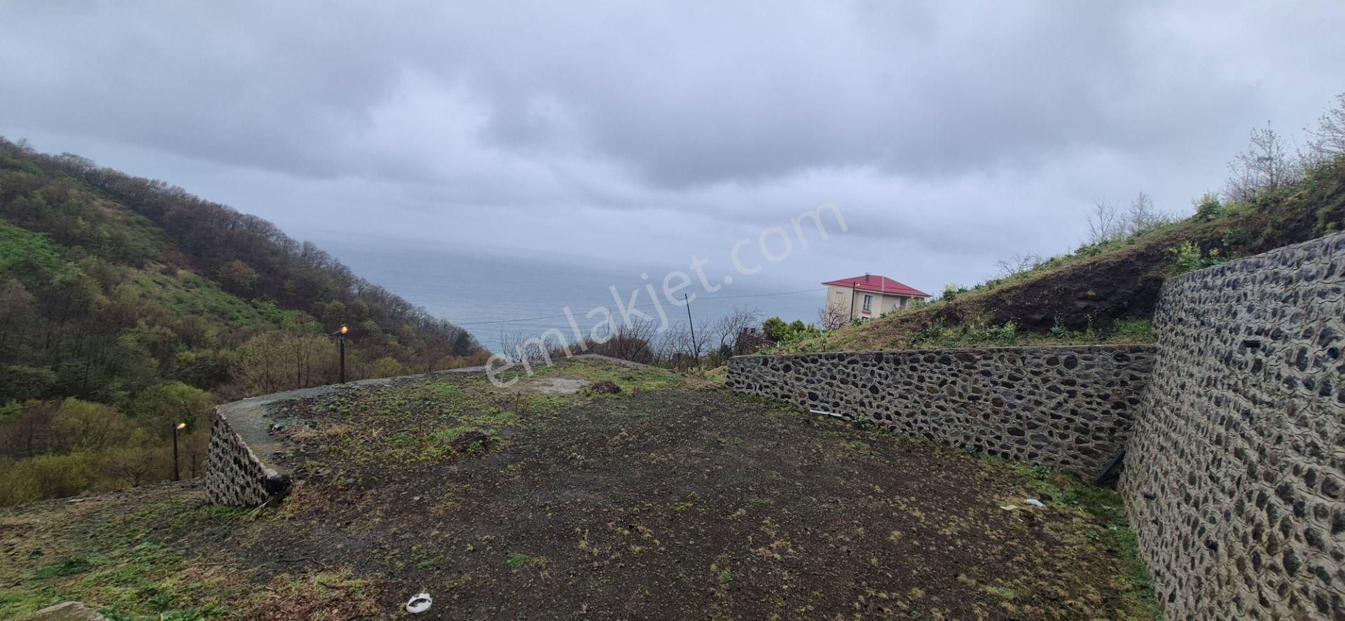 Akçaabat Mersin Satılık Tarla Akçaabat Mersi'nde Deniz Ve Doğa Manzaralı Villa Projeli Arsa