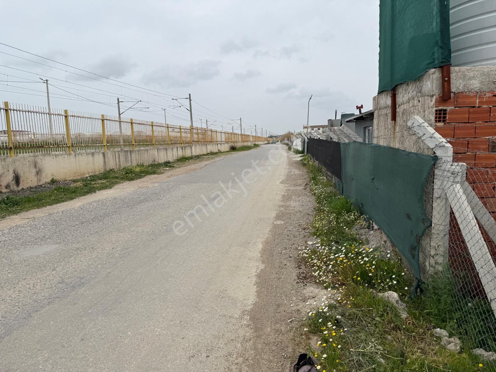 Menderes Altıntepe Mahallesin'de Satılık Hisse Tapu Zeytinlik - Görsel 3