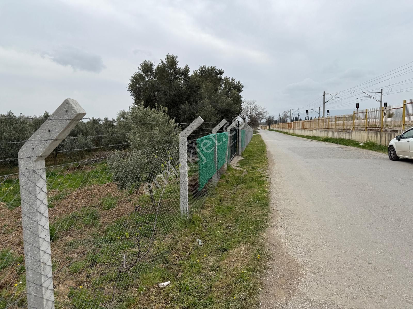 Menderes Altıntepe Mahallesin'de Satılık Hisse Tapu Zeytinlik - Görsel 4