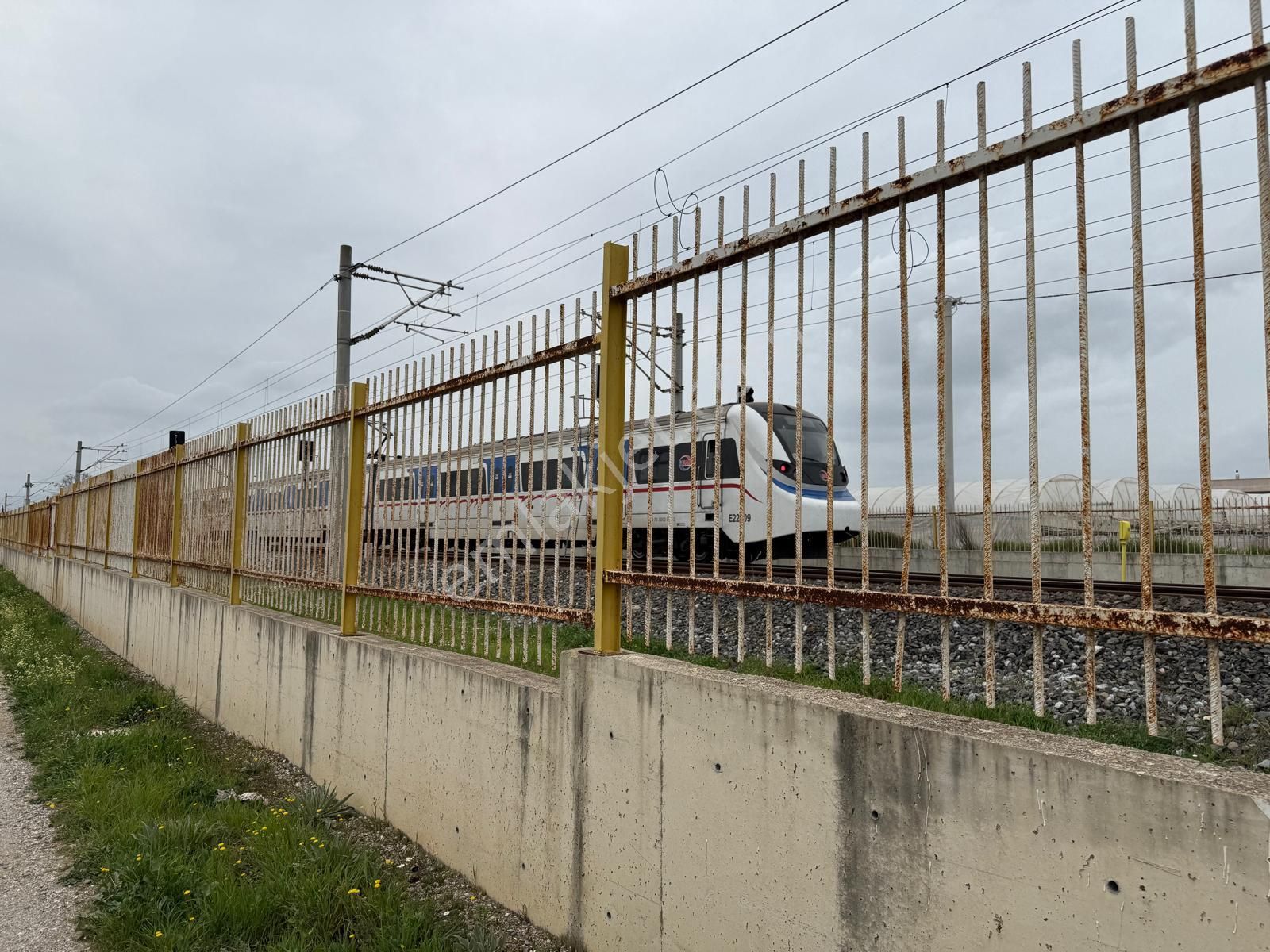 Menderes Altıntepe Mahallesin'de Satılık Hisse Tapu Zeytinlik - Görsel 12