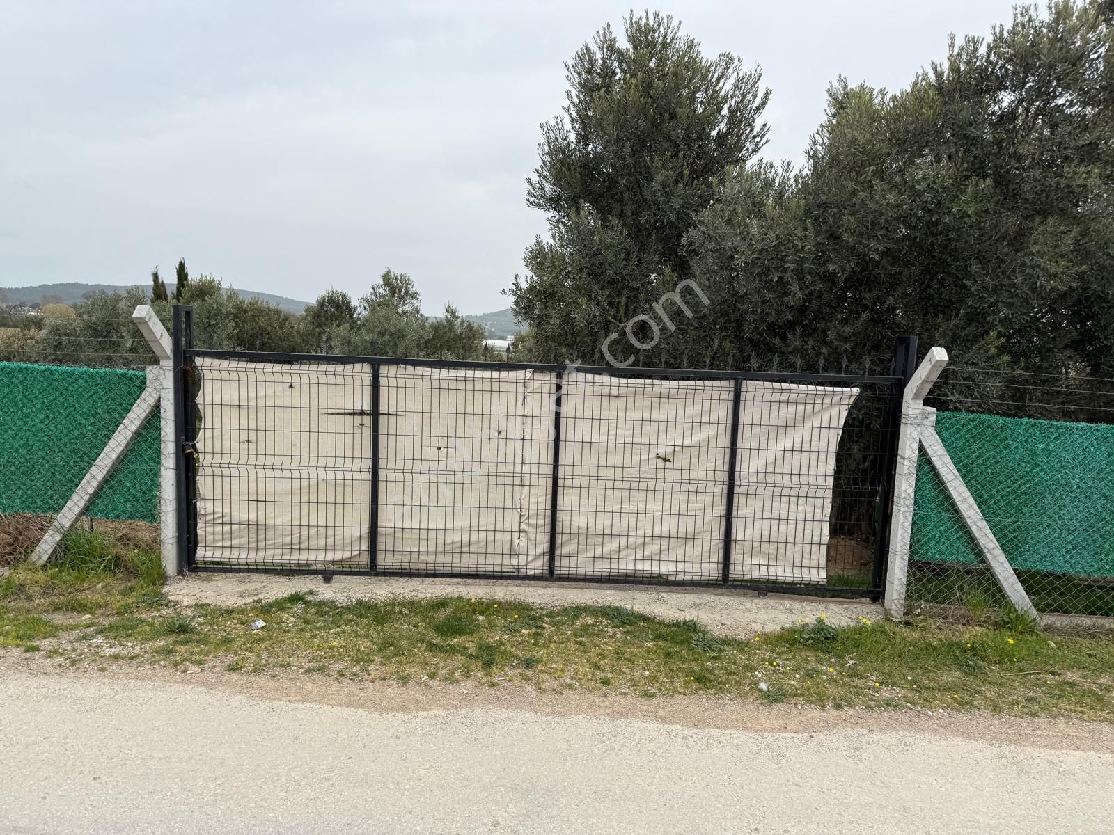 Menderes Altıntepe Mahallesin'de Satılık Hisse Tapu Zeytinlik - Görsel 5