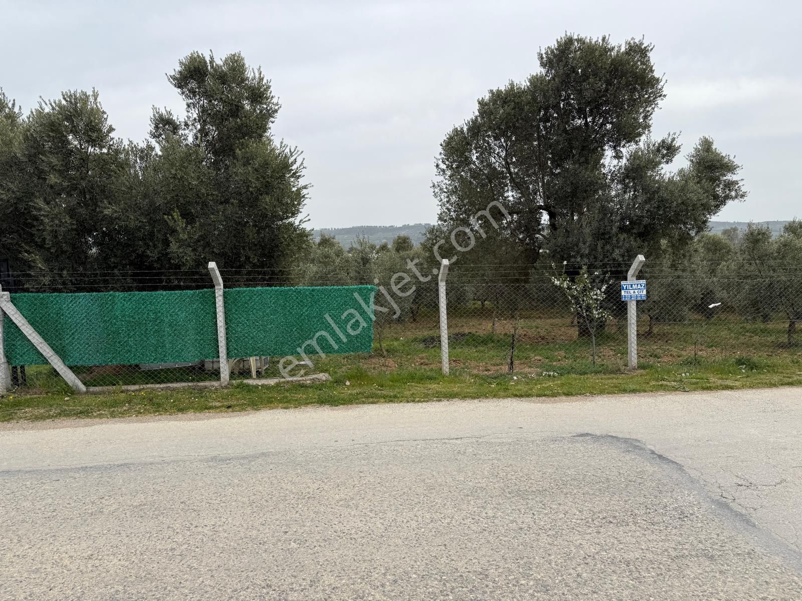 Menderes Altıntepe Mahallesin'de Satılık Hisse Tapu Zeytinlik - Görsel 7