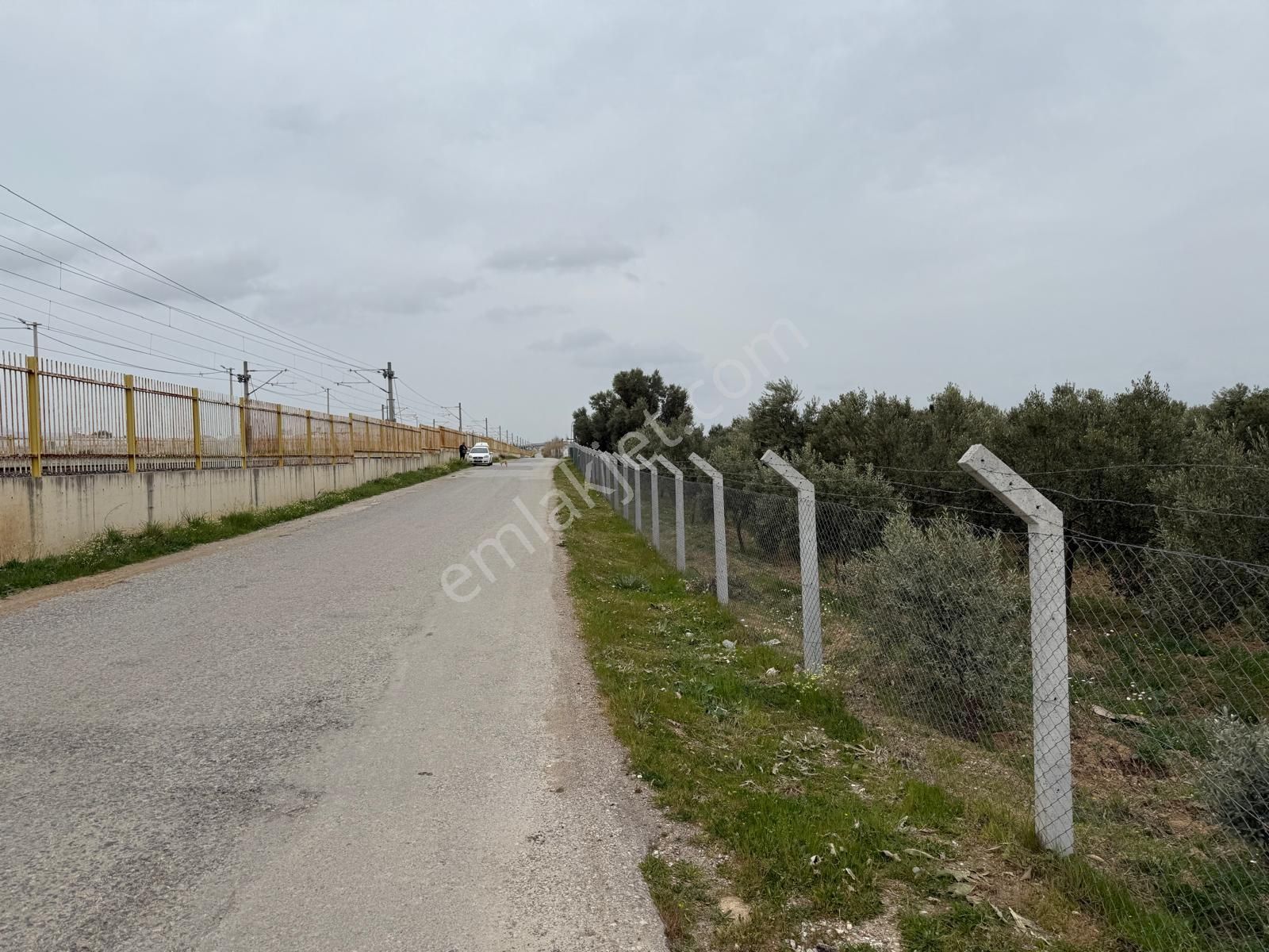 Menderes Altıntepe Mahallesin'de Satılık Hisse Tapu Zeytinlik - Görsel 14