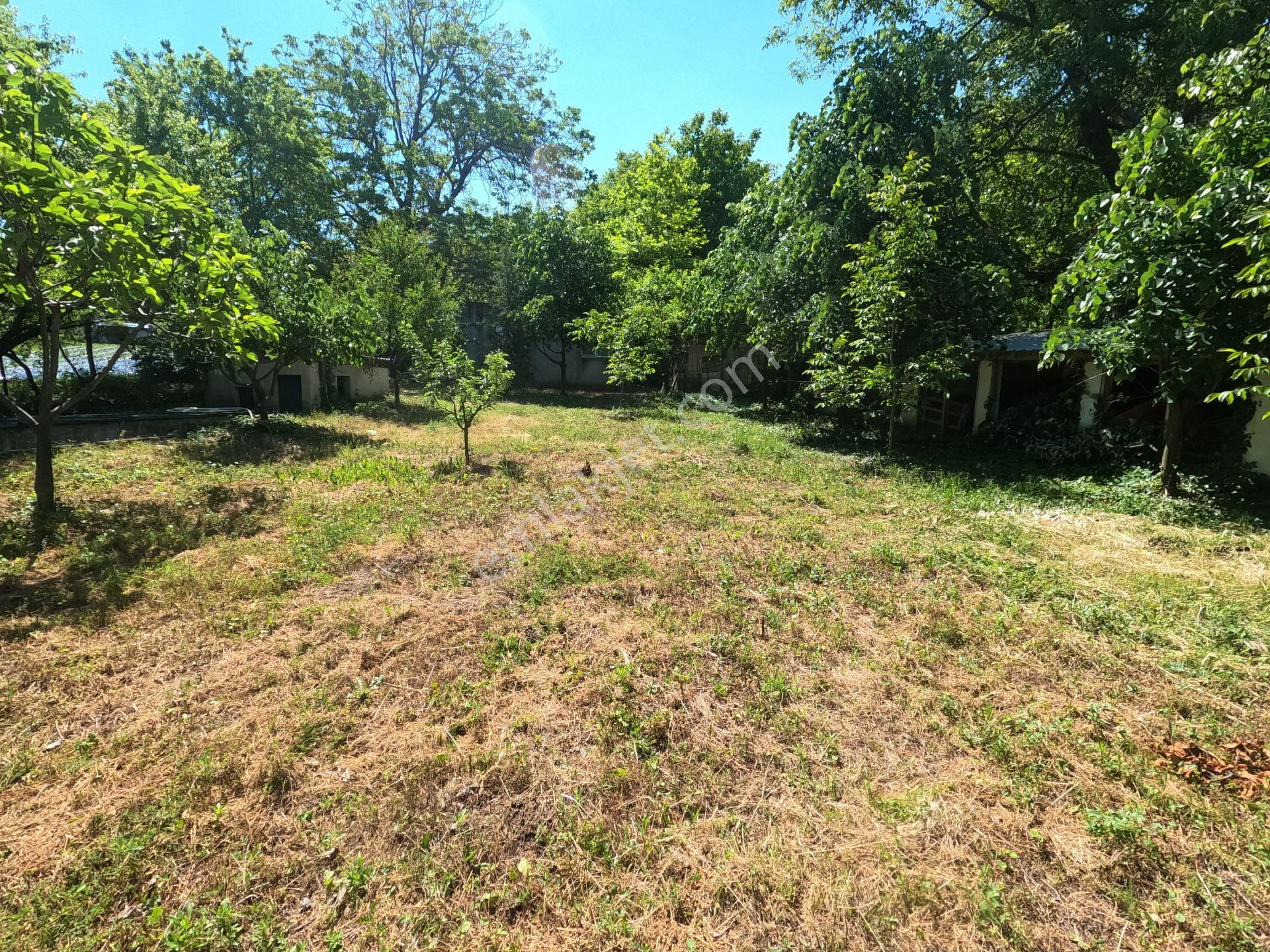 ** Kestel Derekızık Kaçırılmaz Satılık Fırsat Arsa ** - Görsel 14