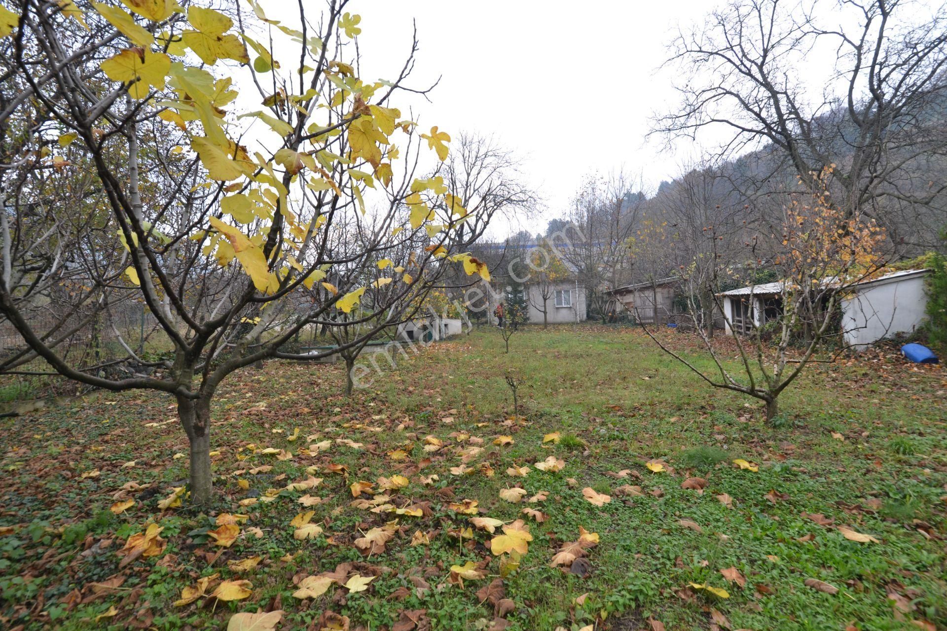 ** Kestel Derekızık Kaçırılmaz Satılık Fırsat Arsa ** - Görsel 11