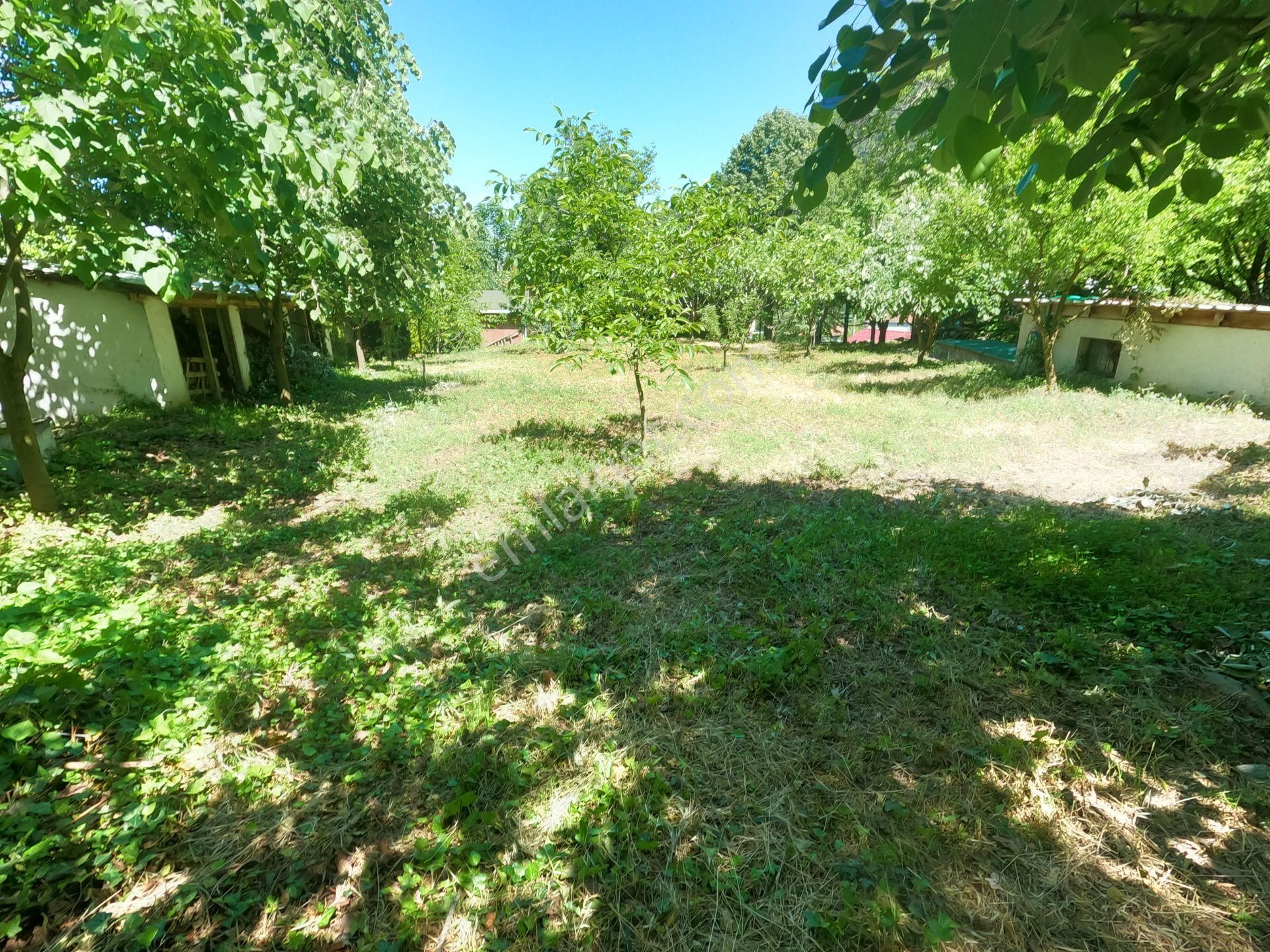 ** Kestel Derekızık Kaçırılmaz Satılık Fırsat Arsa ** - Görsel 16