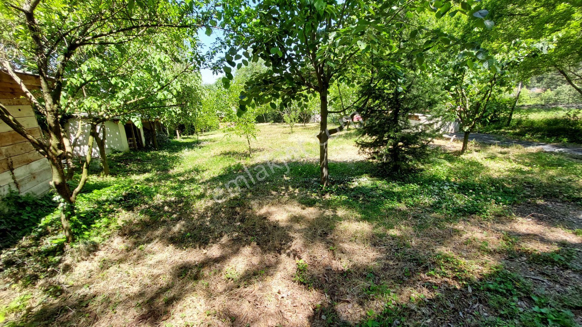 ** Kestel Derekızık Kaçırılmaz Satılık Fırsat Arsa ** - Görsel 19