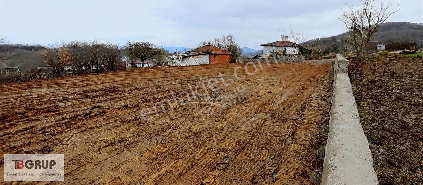 Altınova Örencik Köyü Satılık Villa İmarlı Tb Grup'tan Satılık 1800 M2 İmarlı Arsa