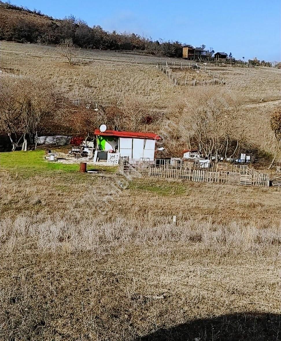 Silivri Çanta Balaban Satılık Tarla Silivri Balaban 'da 303m Çaplı Muvafakatnameli