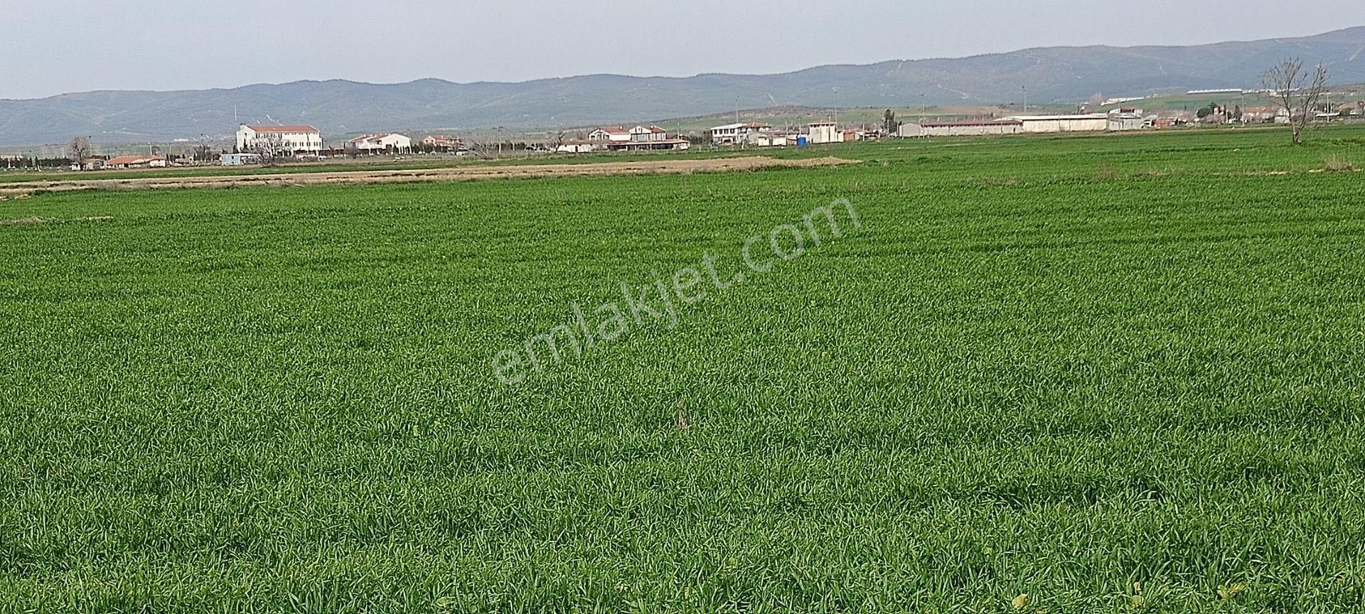 Gelibolu Evreşe De Merkeze Yakın Yol Cepheli Tarla