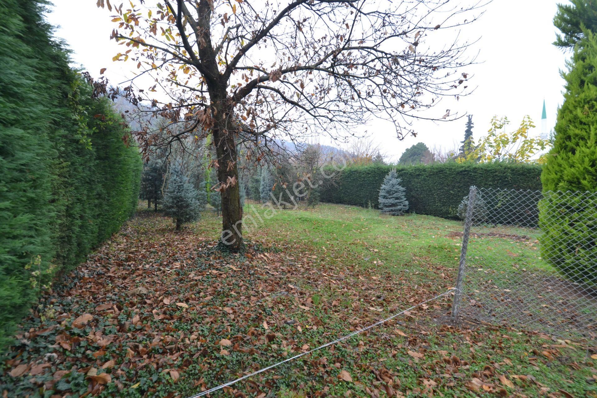 ** Kestel Derekızıkta Müstakil Satılık Arsa ** - Görsel 21