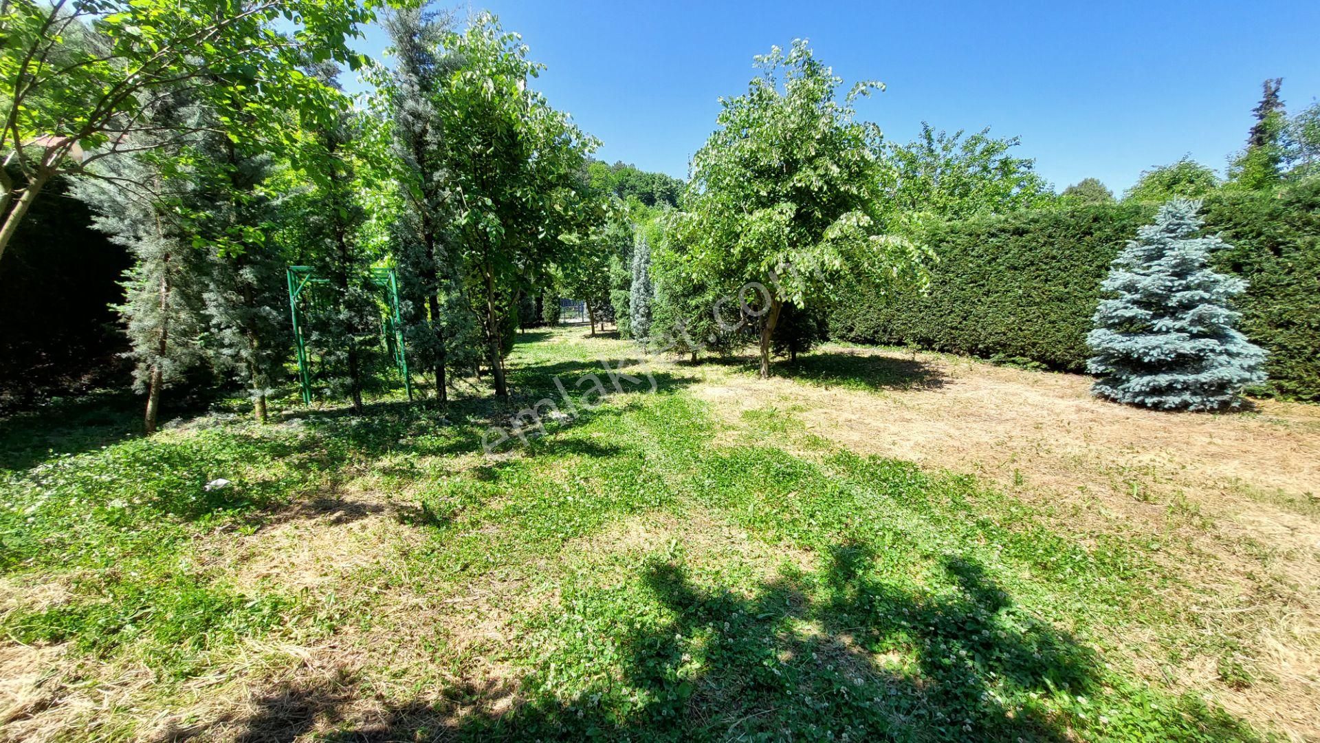 ** Kestel Derekızıkta Müstakil Satılık Arsa ** - Görsel 6