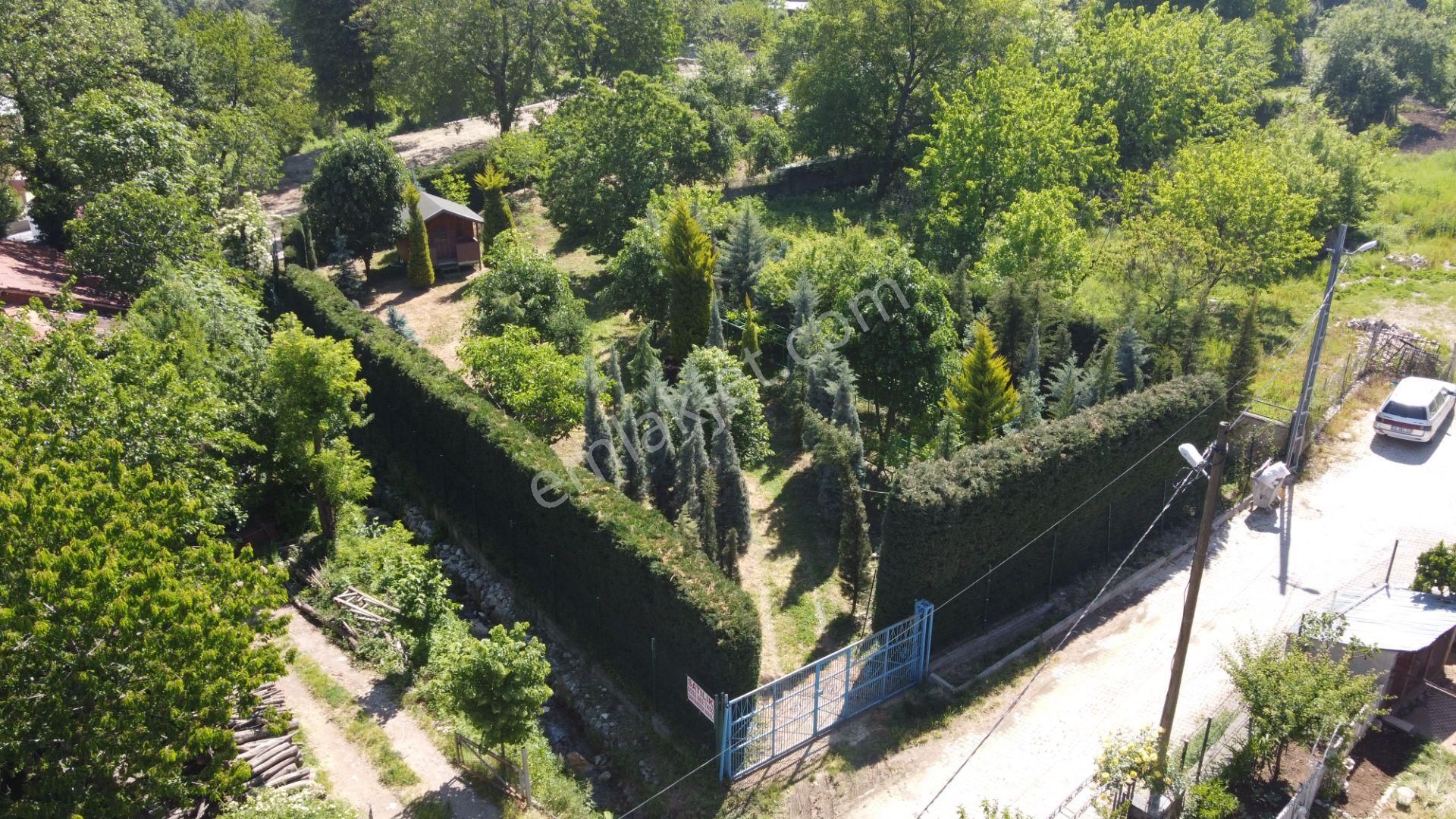 ** Kestel Derekızıkta Müstakil Satılık Arsa ** - Görsel 2