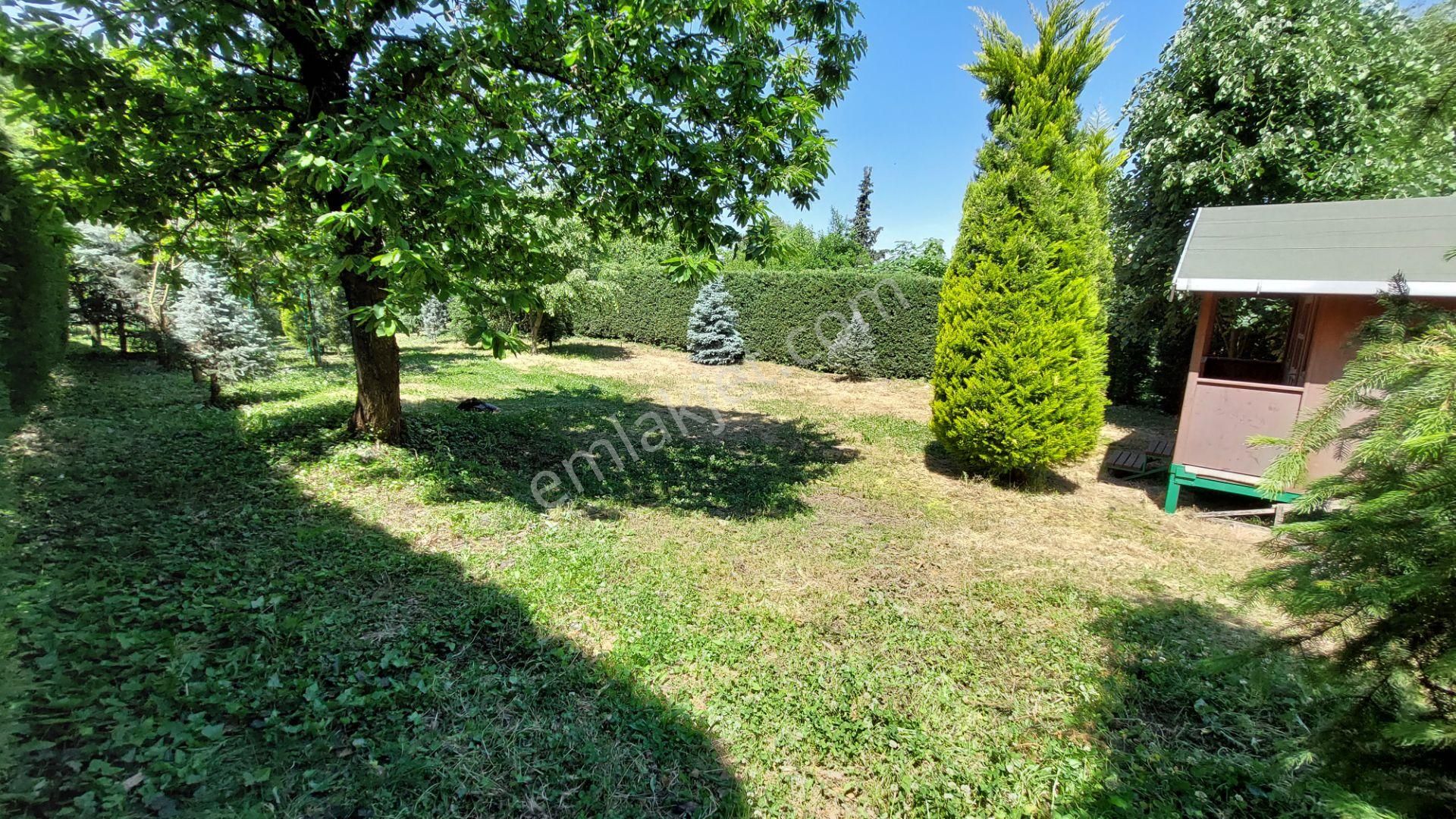 ** Kestel Derekızıkta Müstakil Satılık Arsa ** - Görsel 5