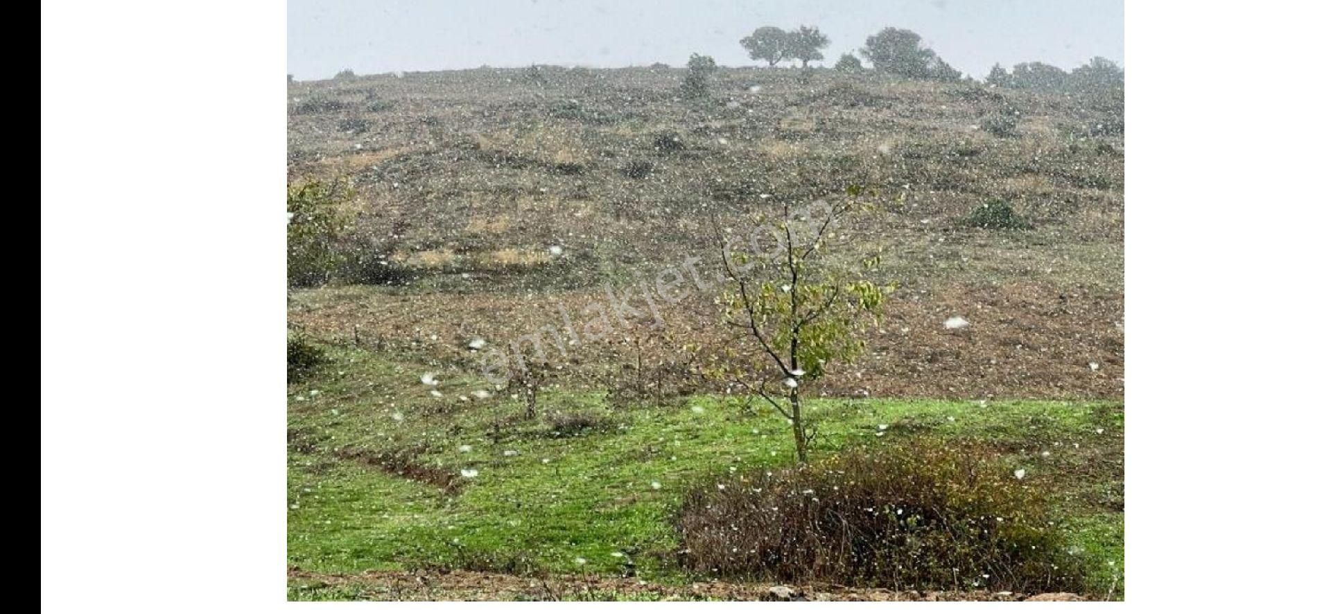 Yenişehir Çelebi Satılık Tarla Sahibinden Bursa Yenişehir Çelebi Mahallesi De 5283 Metrekare Satılık