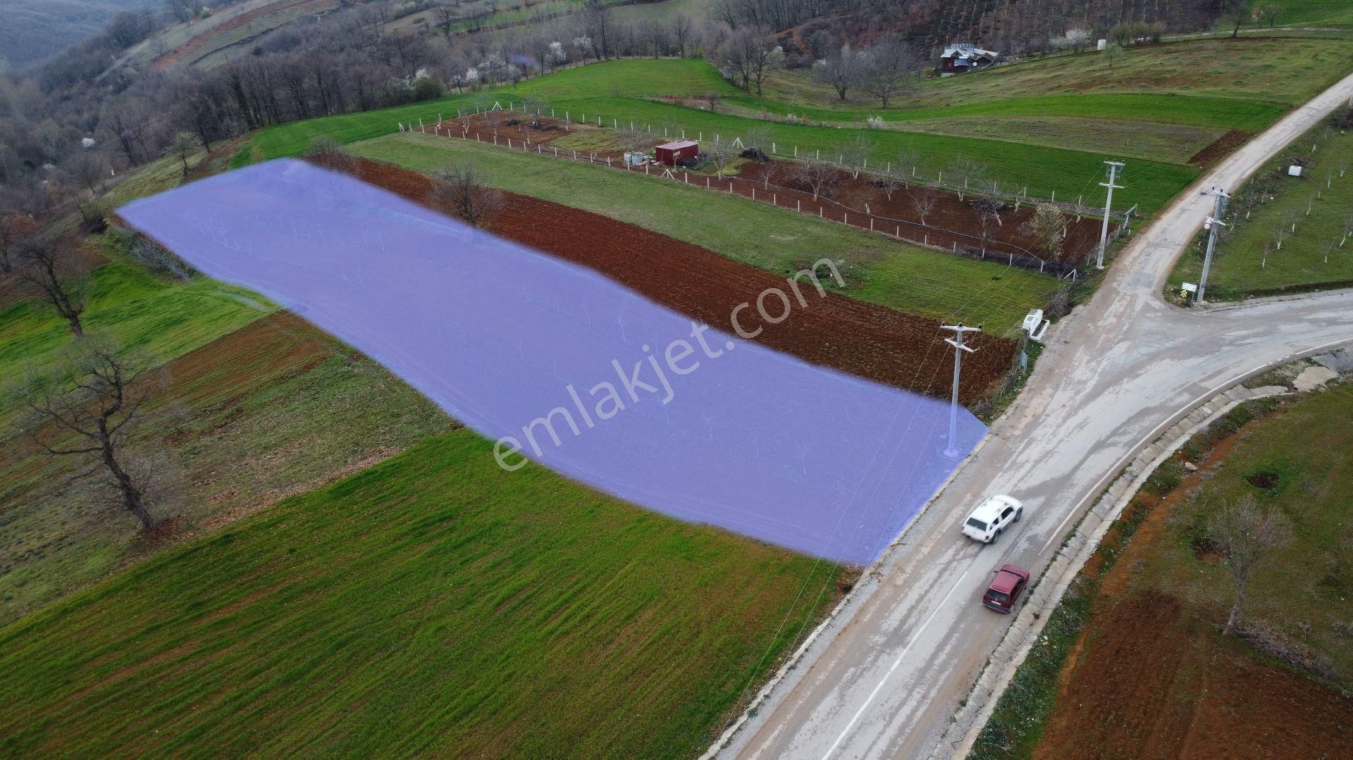 İnegöl Tekkeköy Satılık Tarla Bursa İnegöl Tekkeköy Mah. İmara Sınır 2.945 M2 Satılık Tarla