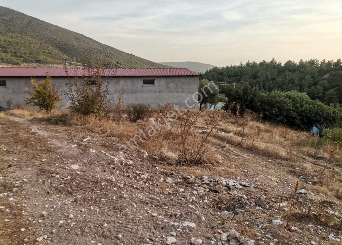 Saruhanlı Seyitoba Satılık Tarla Manisa Saruhanlı Seyitoba Mahallesinde Satılık Mükemmel Arsa 🏡🌳✨