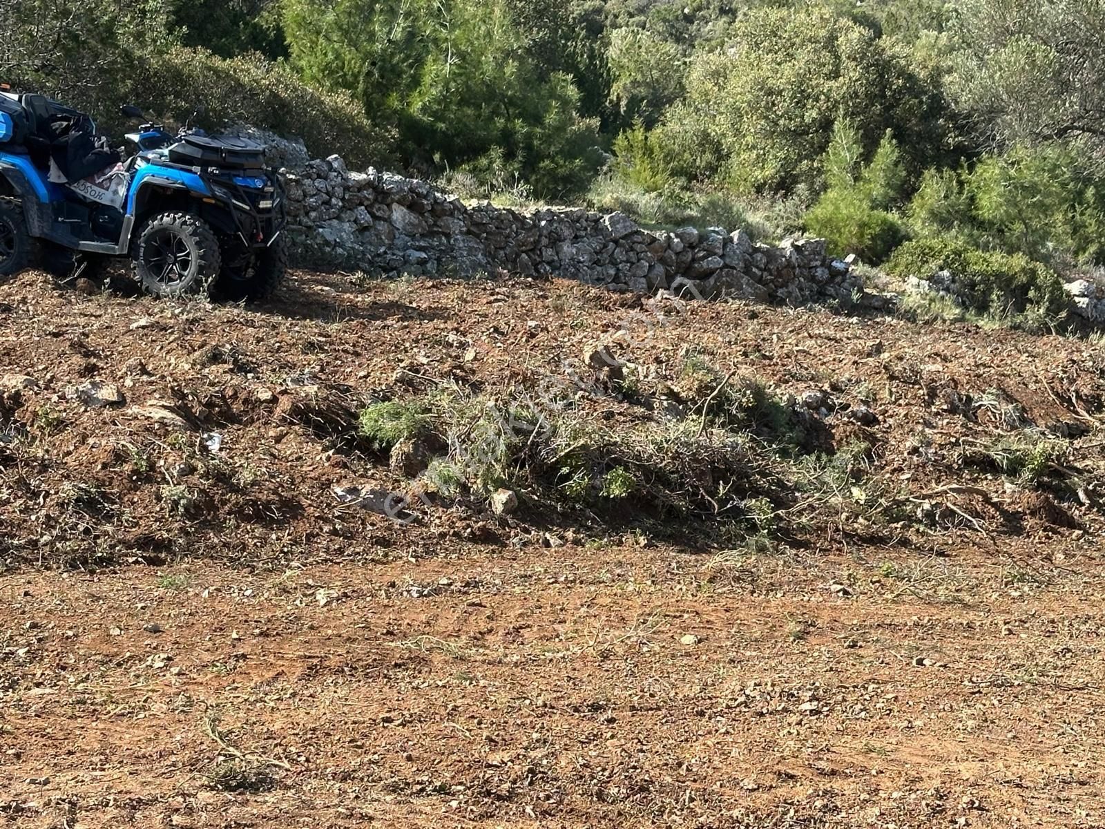 Mor Çiçek Emlak Karaburun Mordoğanda Deniz Manzaralı Tarla - Görsel 4