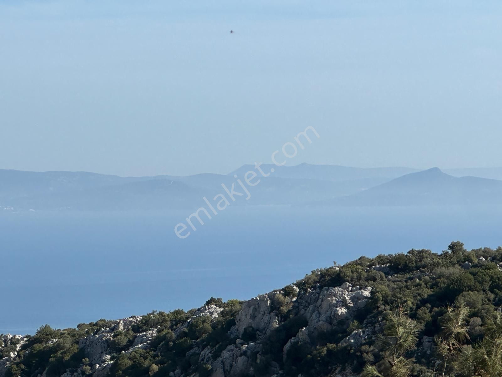 Karaburun Mordoğan Satılık Tarla Mor Çiçek Emlak Karaburun Mordoğanda Deniz Manzaralı Tarla