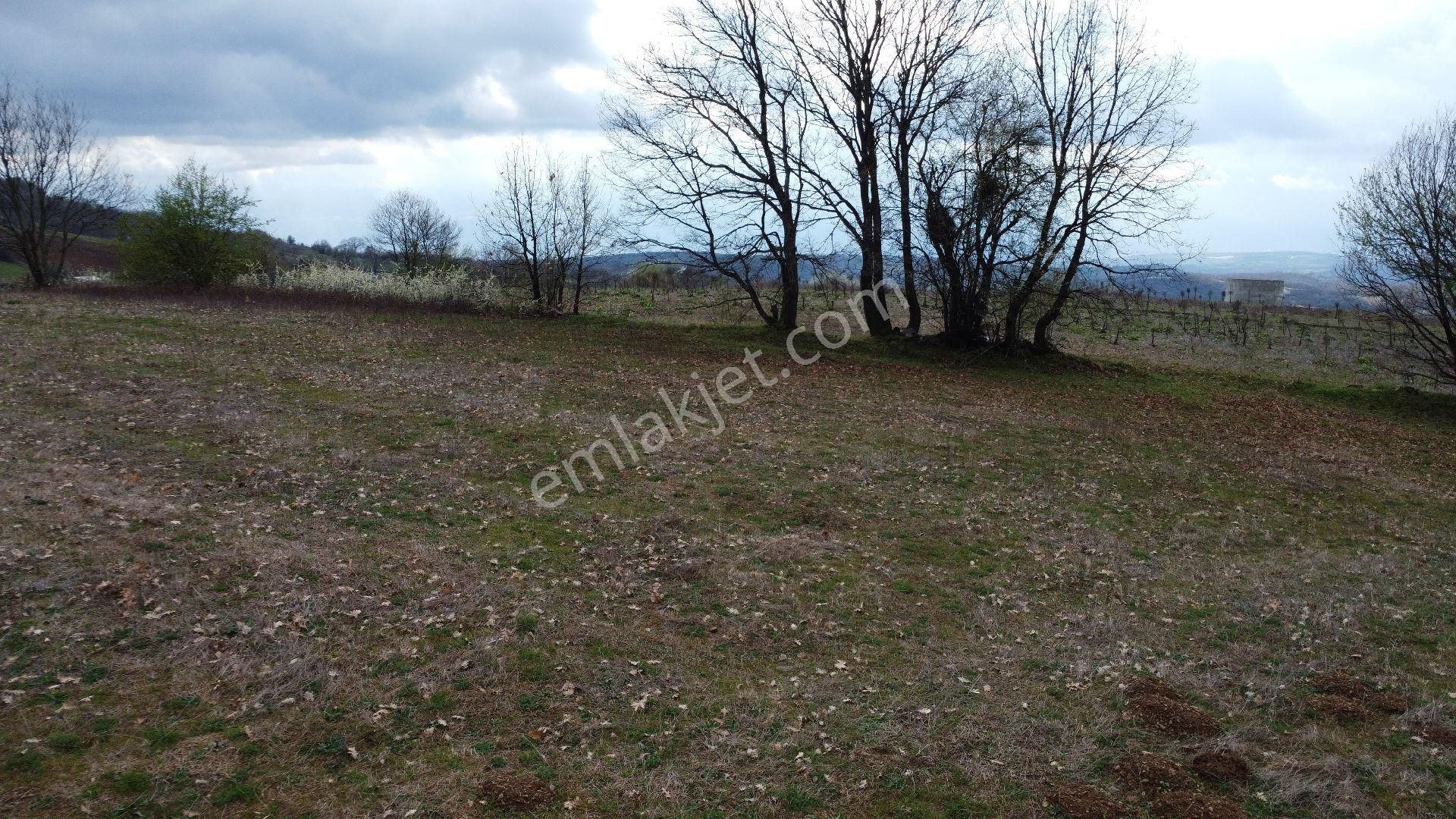 Bursa İnegöl Tekkeköy Mahallesinde 2.224 M2 Satılık Hobi Bahçesi
